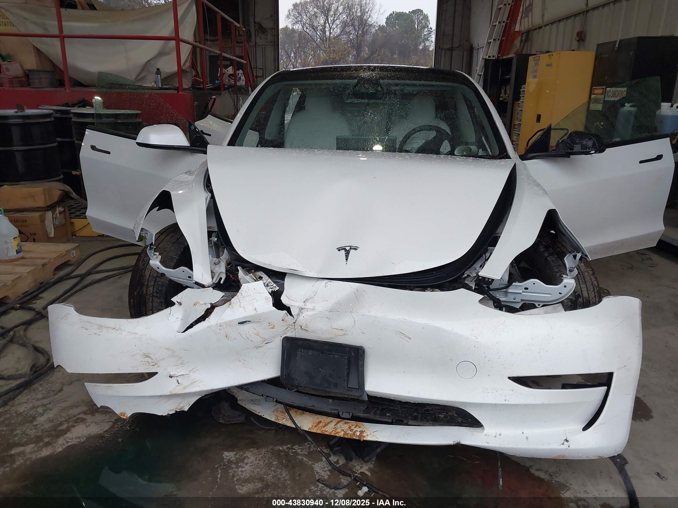TESLA MODEL image 6
