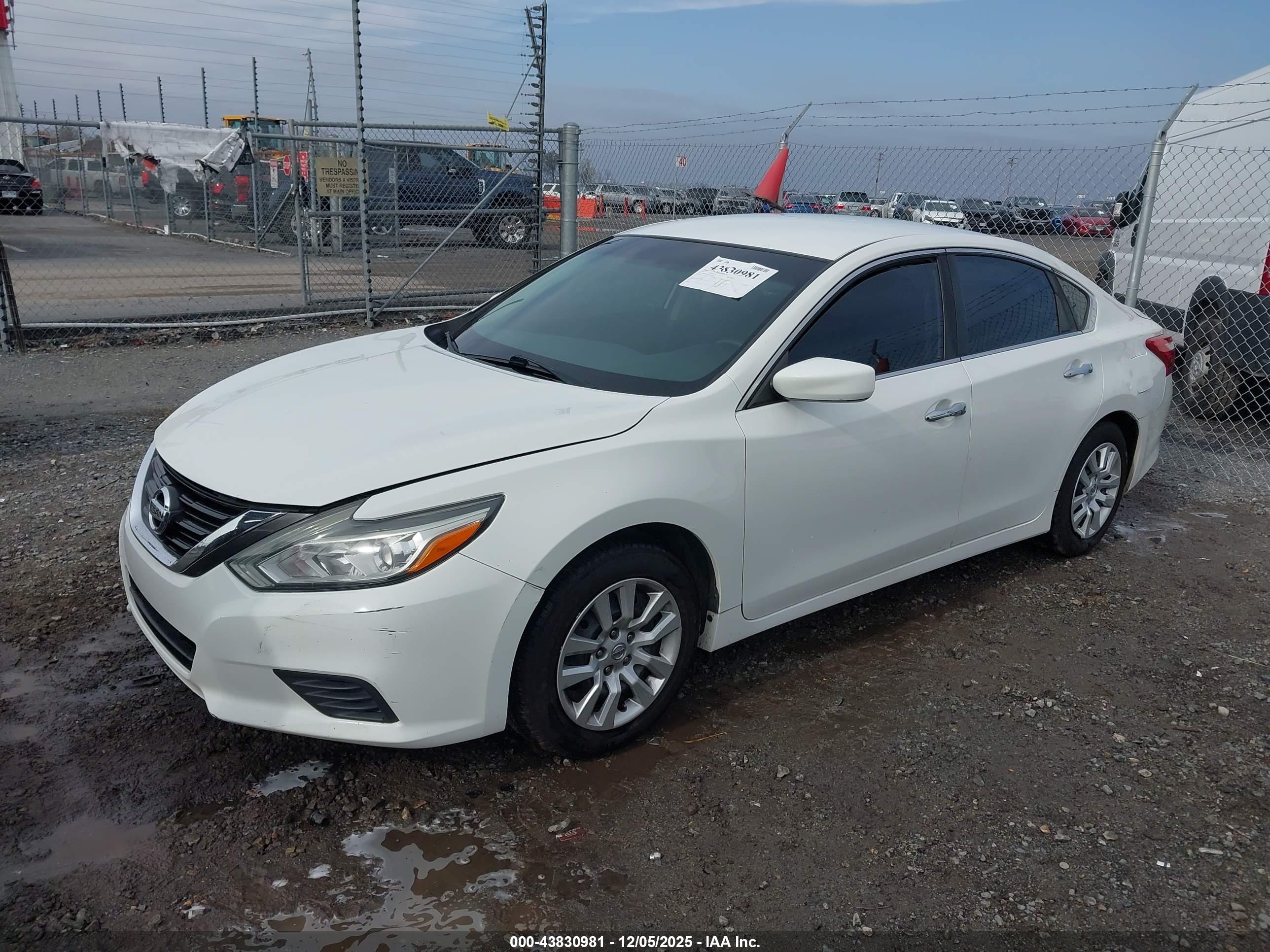 NISSAN ALTIMA image 2