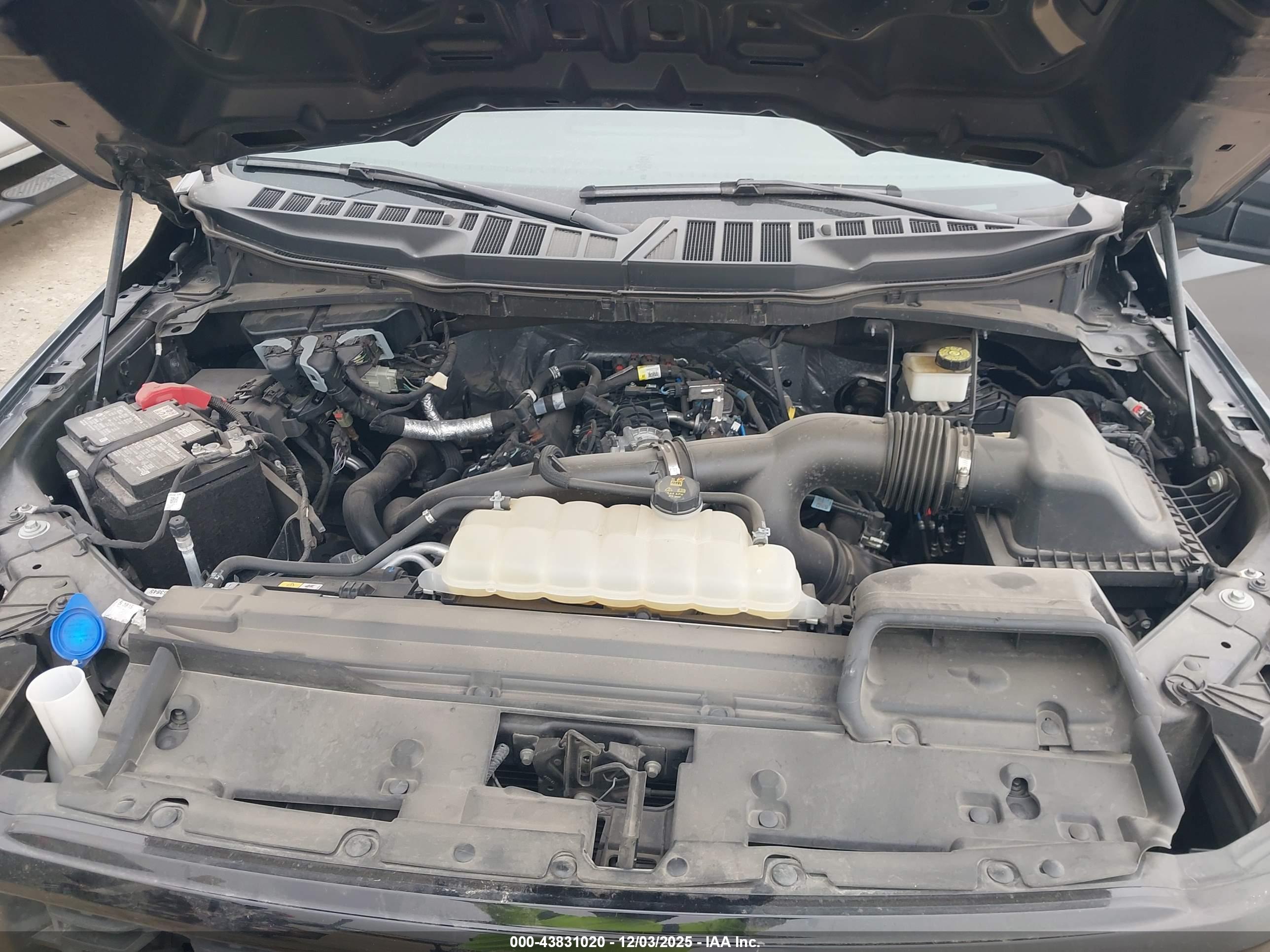 FORD F-150 image 10