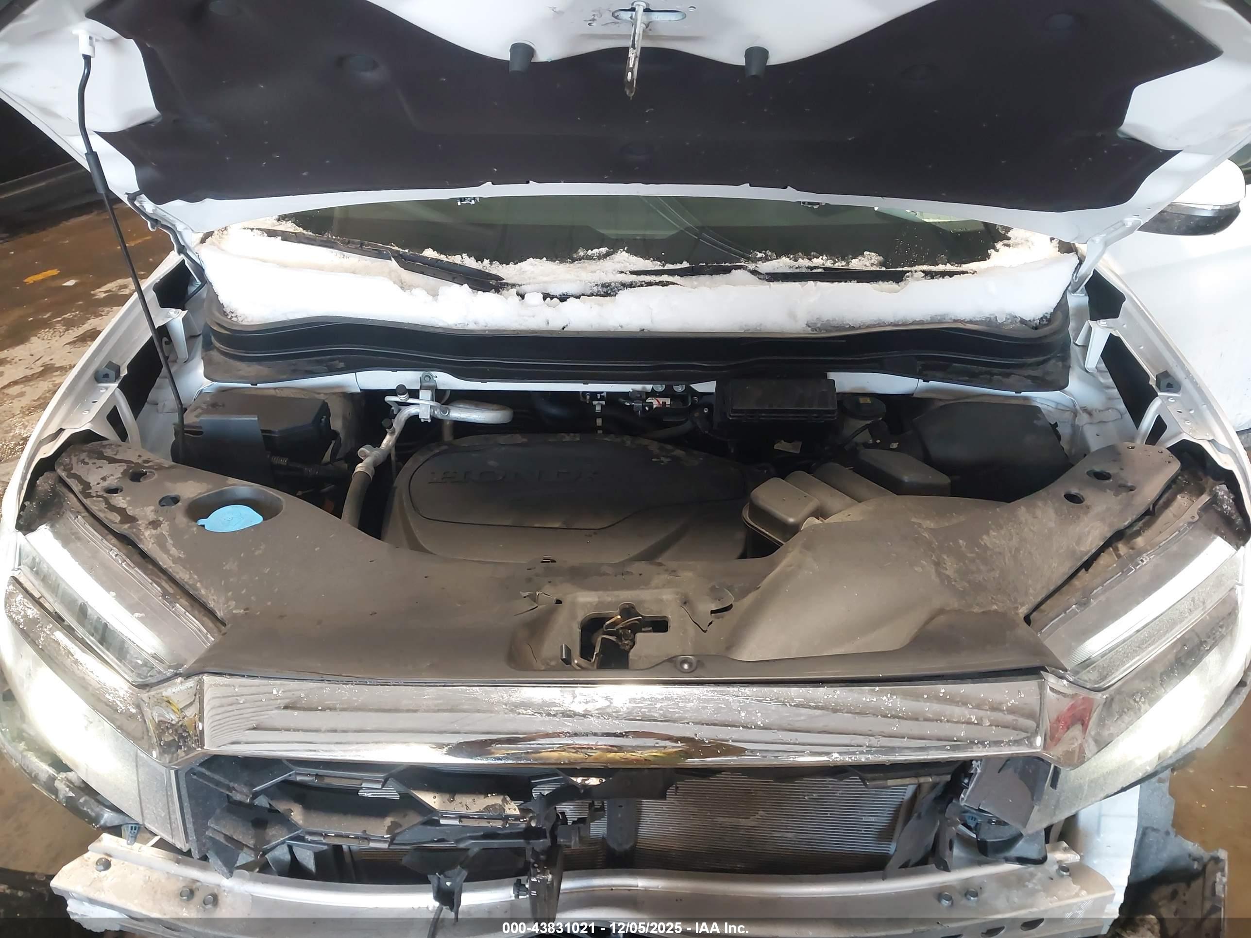 HONDA PASSPORT image 10