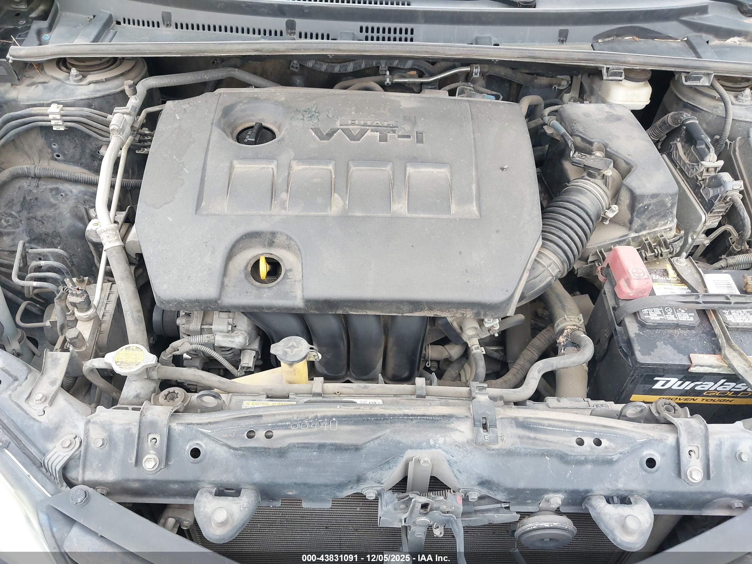 TOYOTA COROLLA image 10
