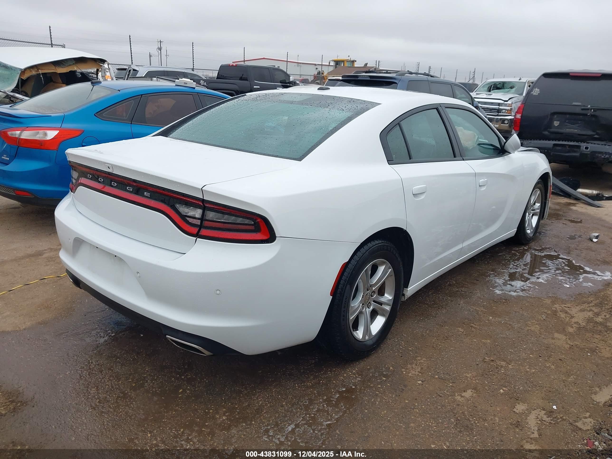 DODGE CHARGER image 4