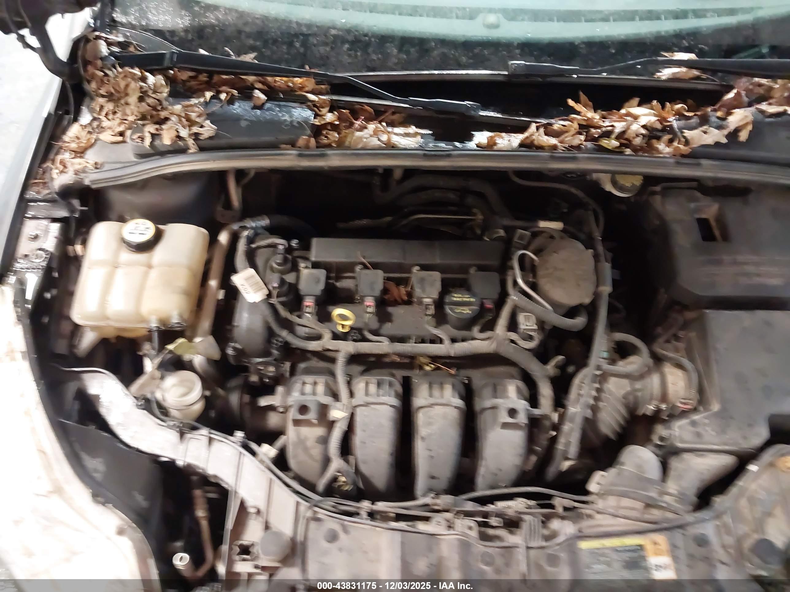 FORD FOCUS image 10