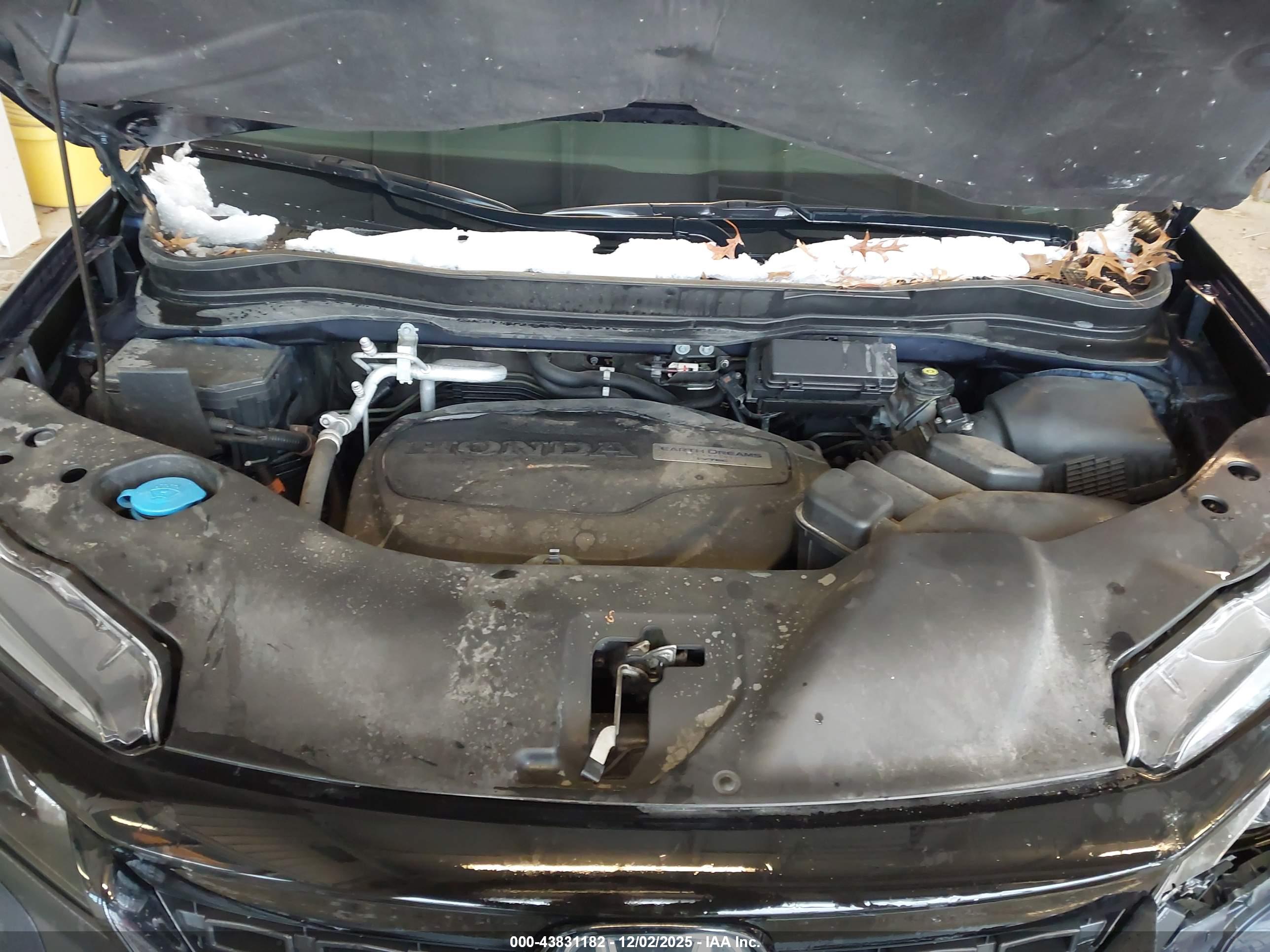 HONDA PASSPORT image 10