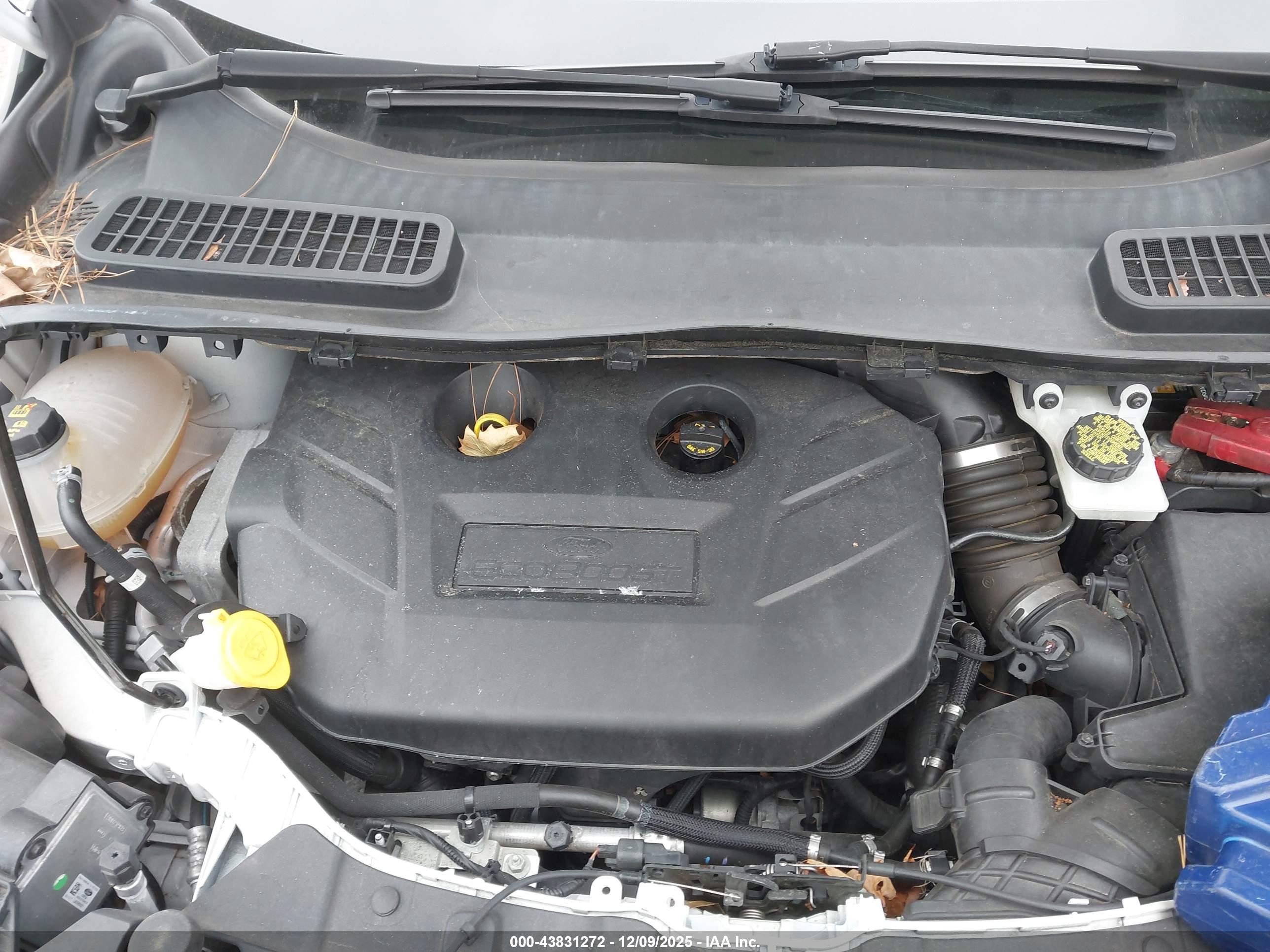 FORD ESCAPE image 10