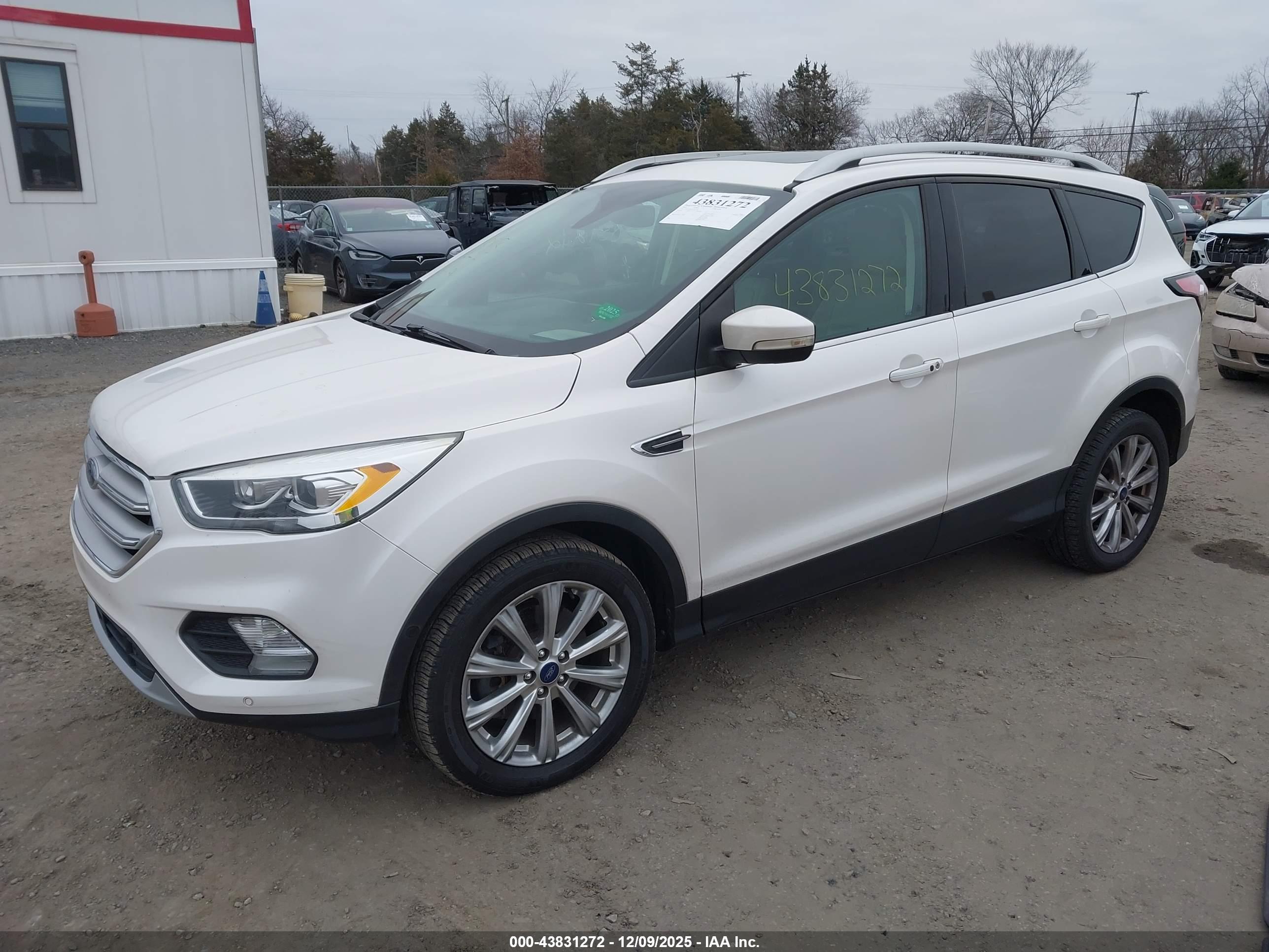 FORD ESCAPE image 2