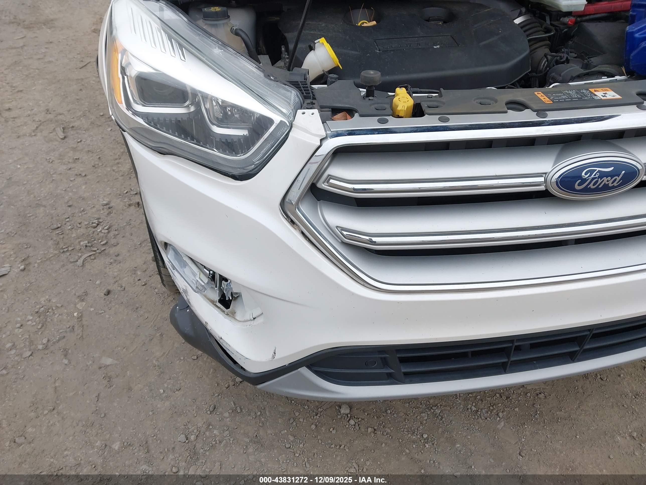 FORD ESCAPE image 6