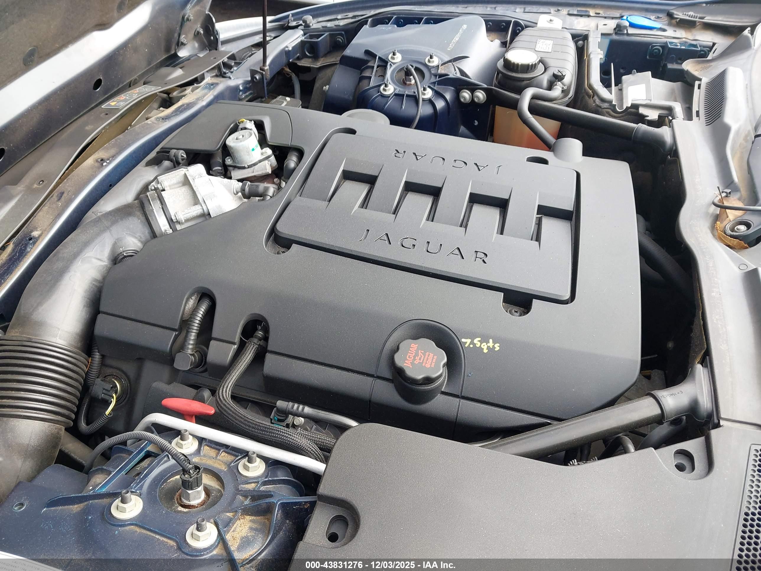 JAGUAR XK image 10