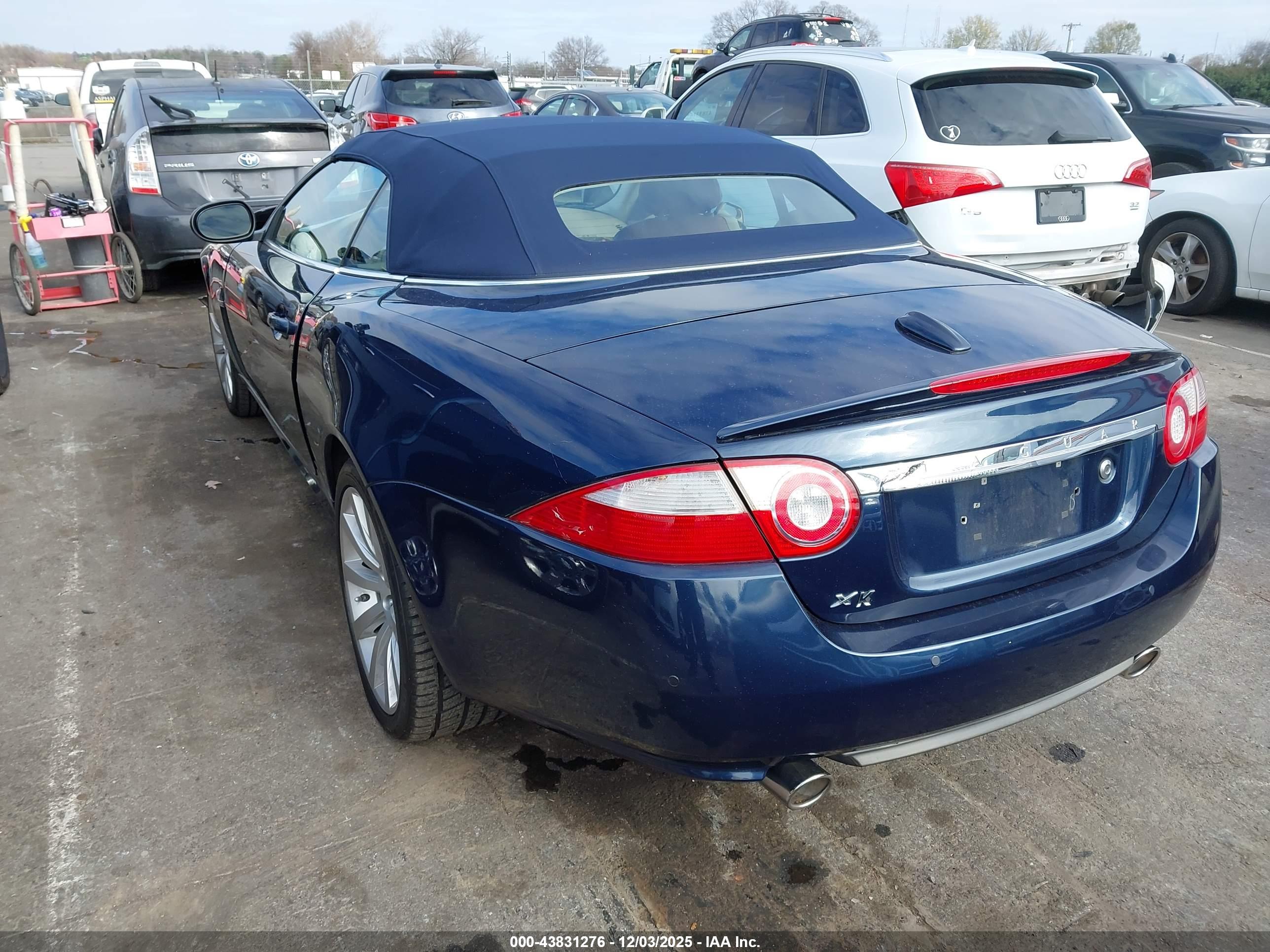 JAGUAR XK image 3