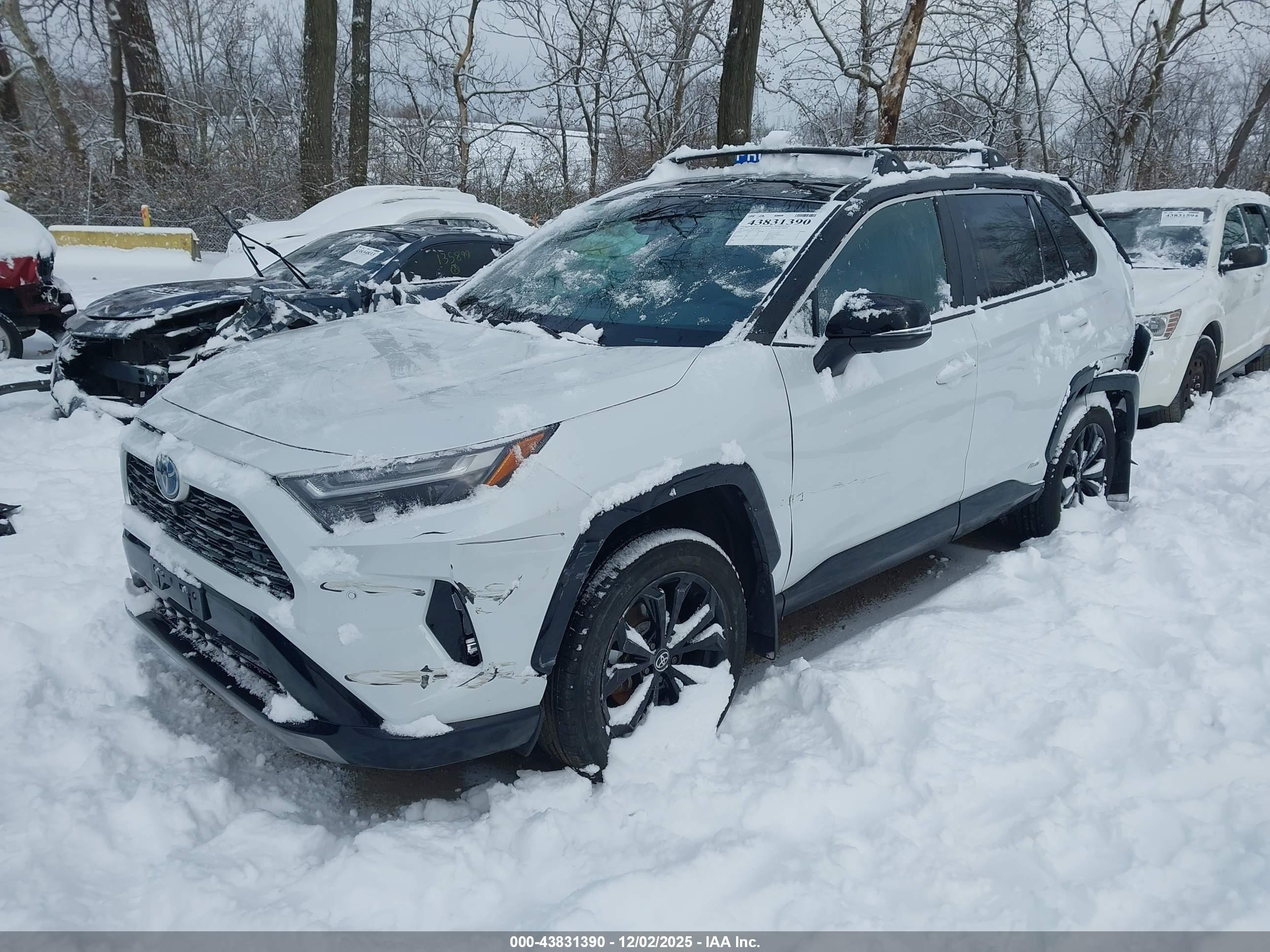 TOYOTA RAV4 image 2