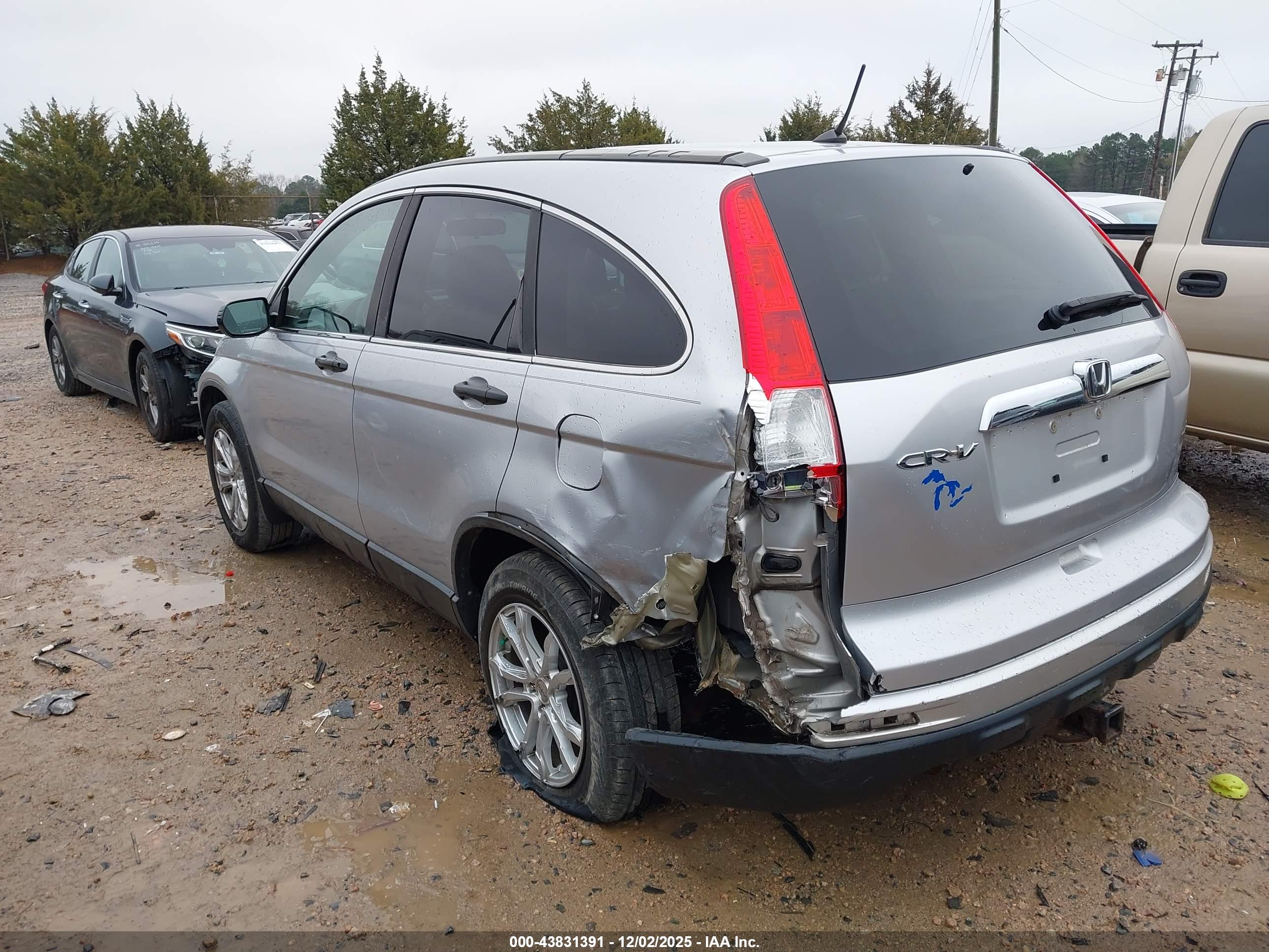 HONDA CR-V image 3
