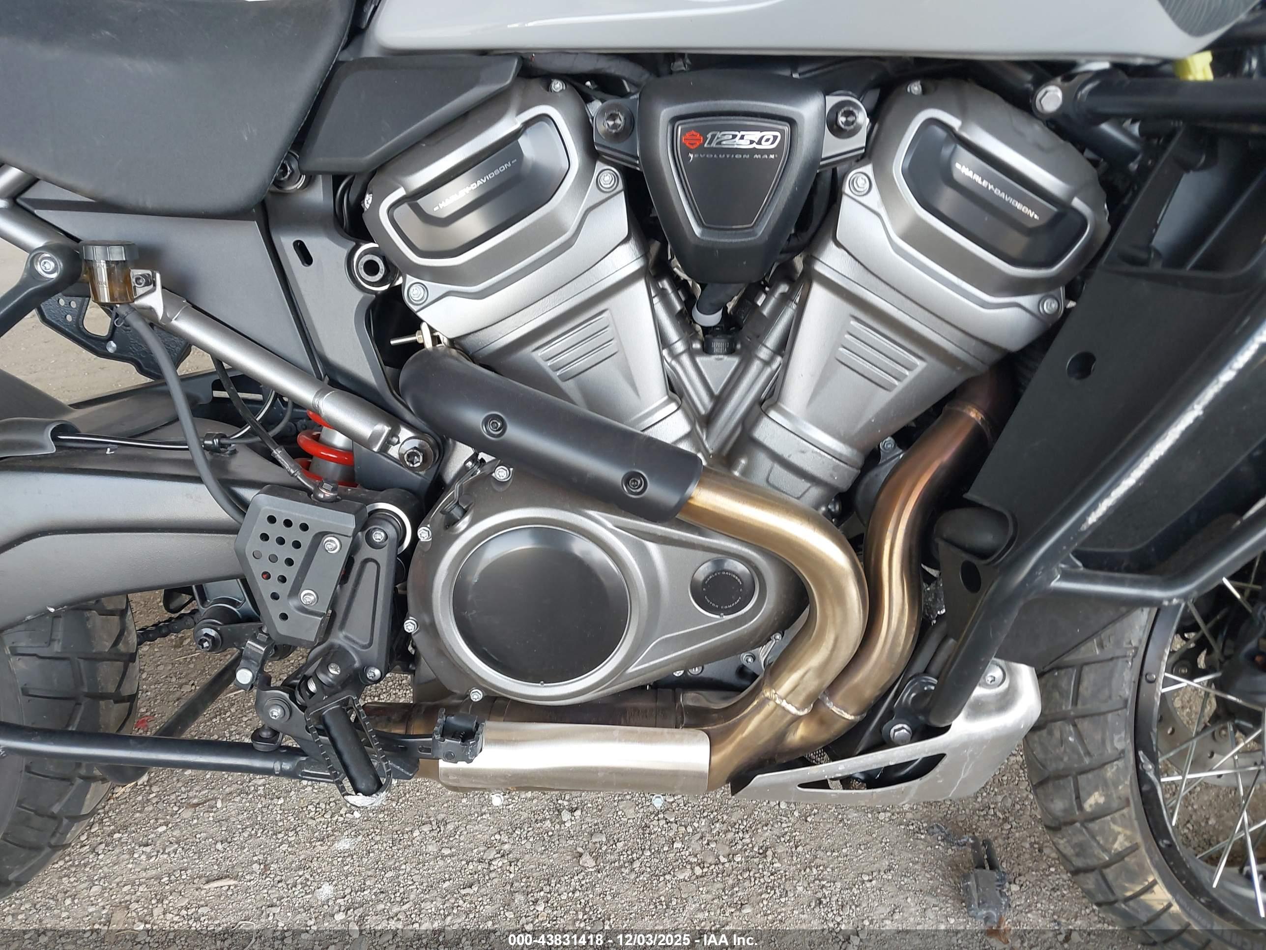 HARLEY-DAVIDSON RA1250 image 8