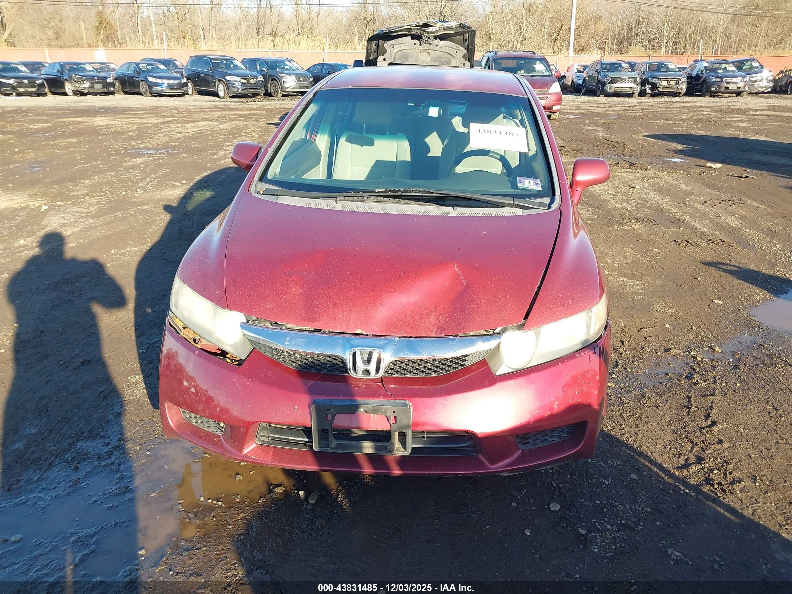 HONDA CIVIC image 6