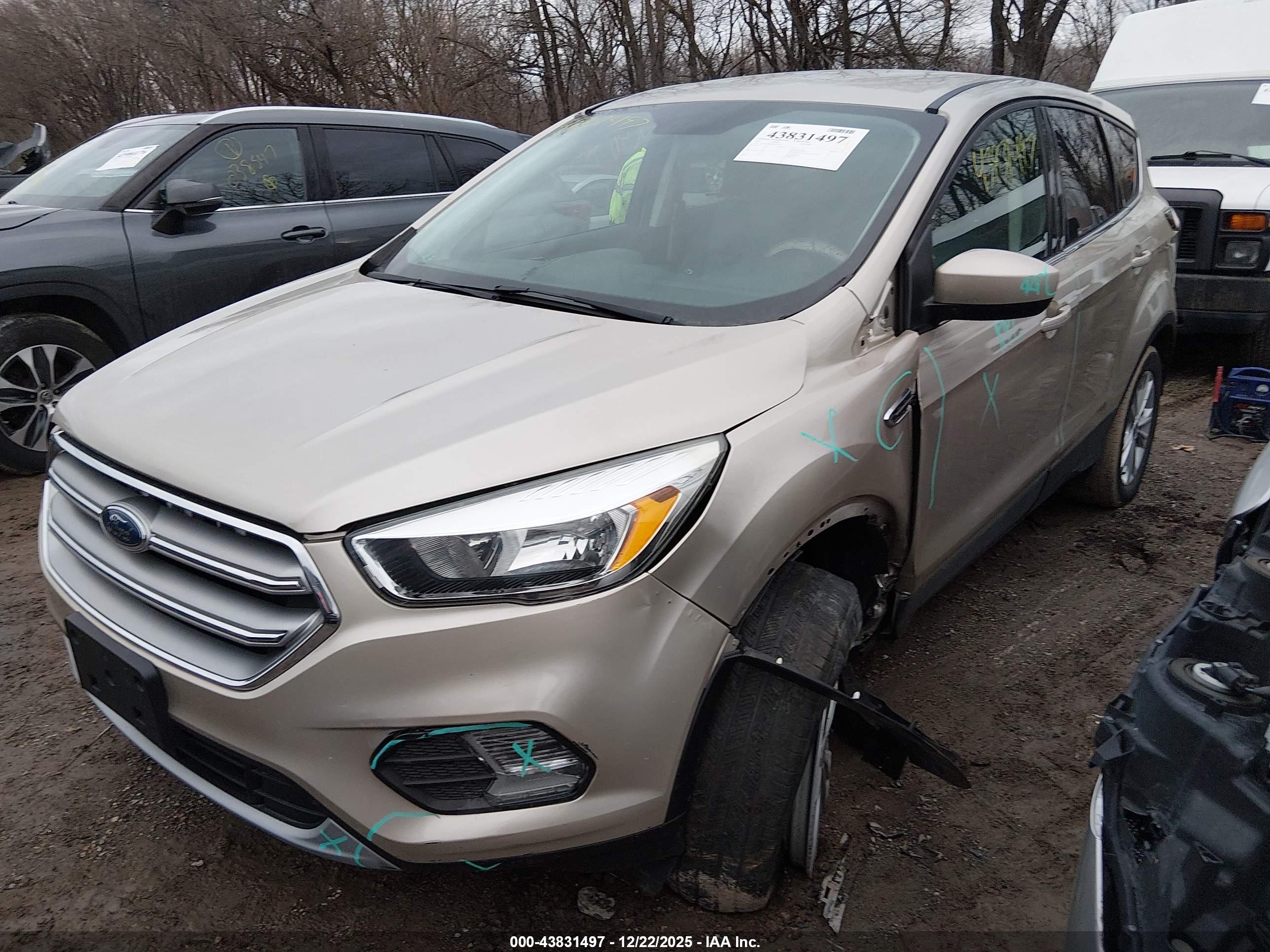 FORD ESCAPE image 2