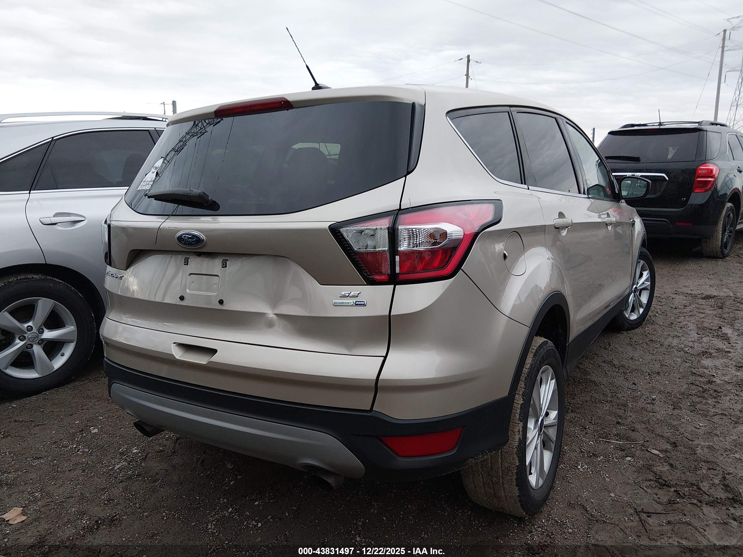 FORD ESCAPE image 4