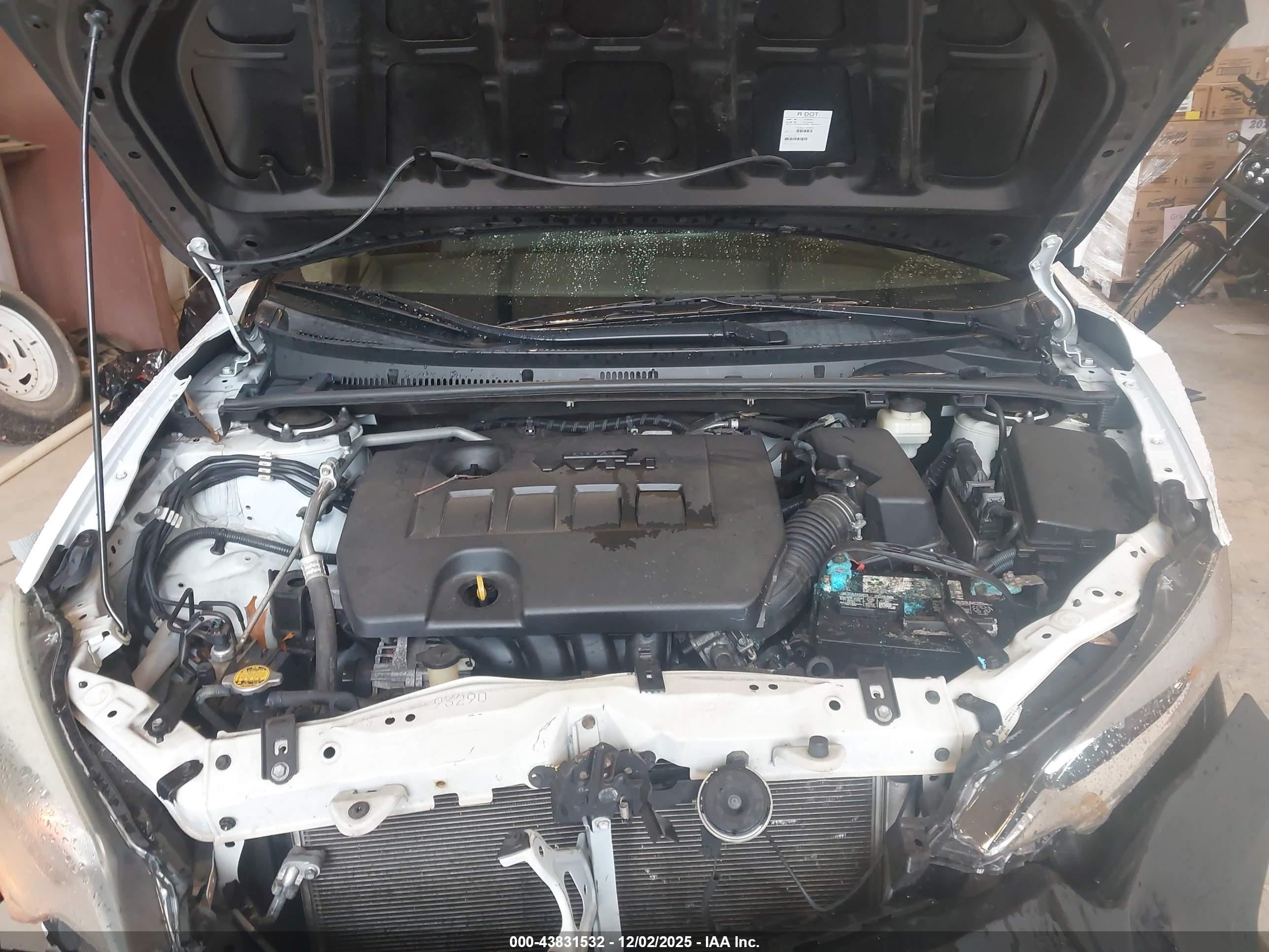 TOYOTA COROLLA image 10