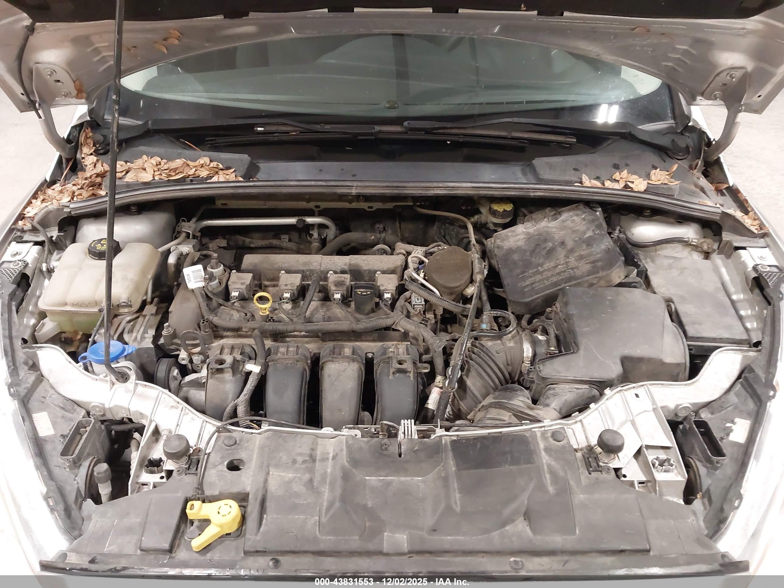 FORD FOCUS image 10