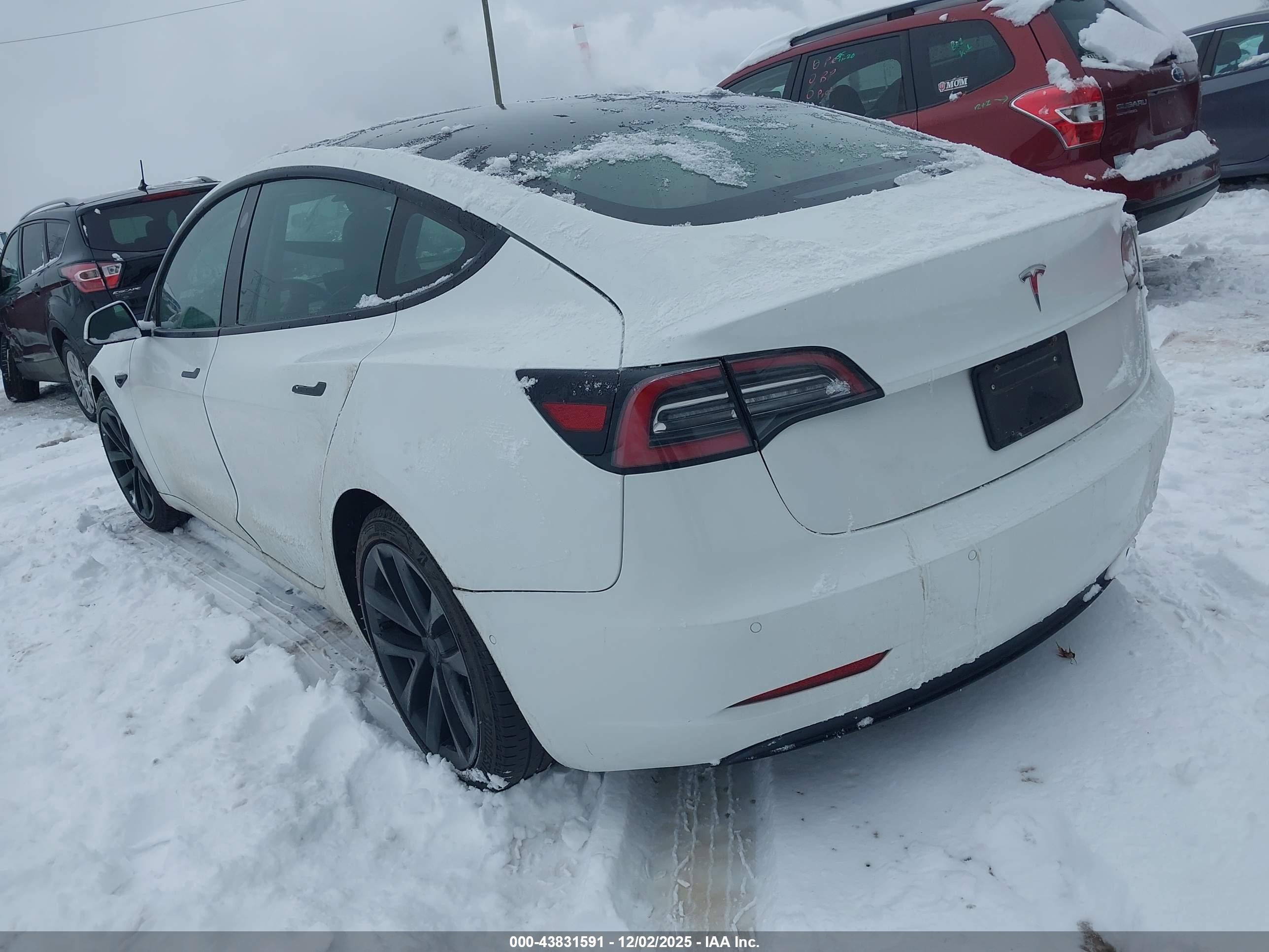 TESLA MODEL image 3