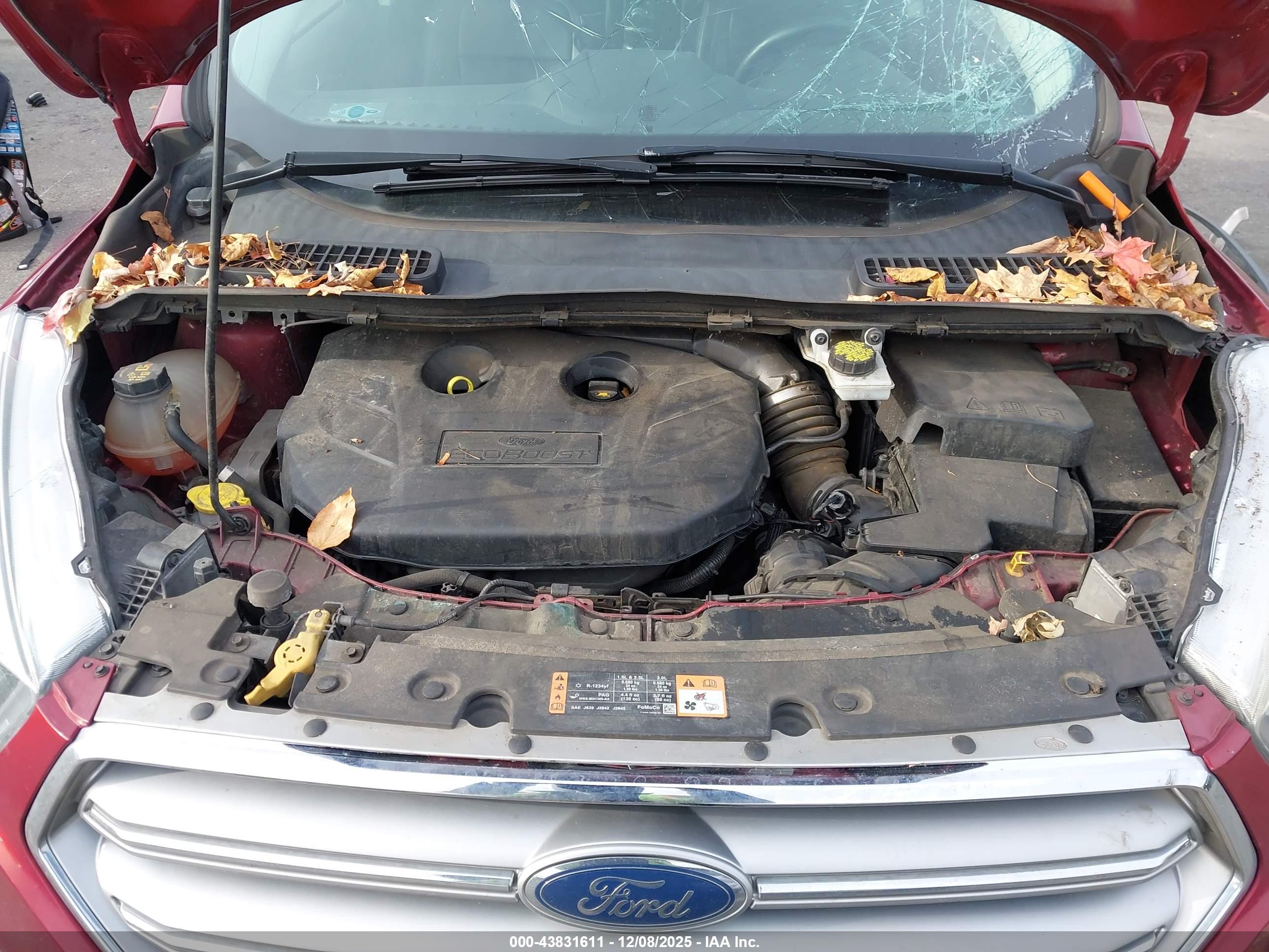 FORD ESCAPE image 10