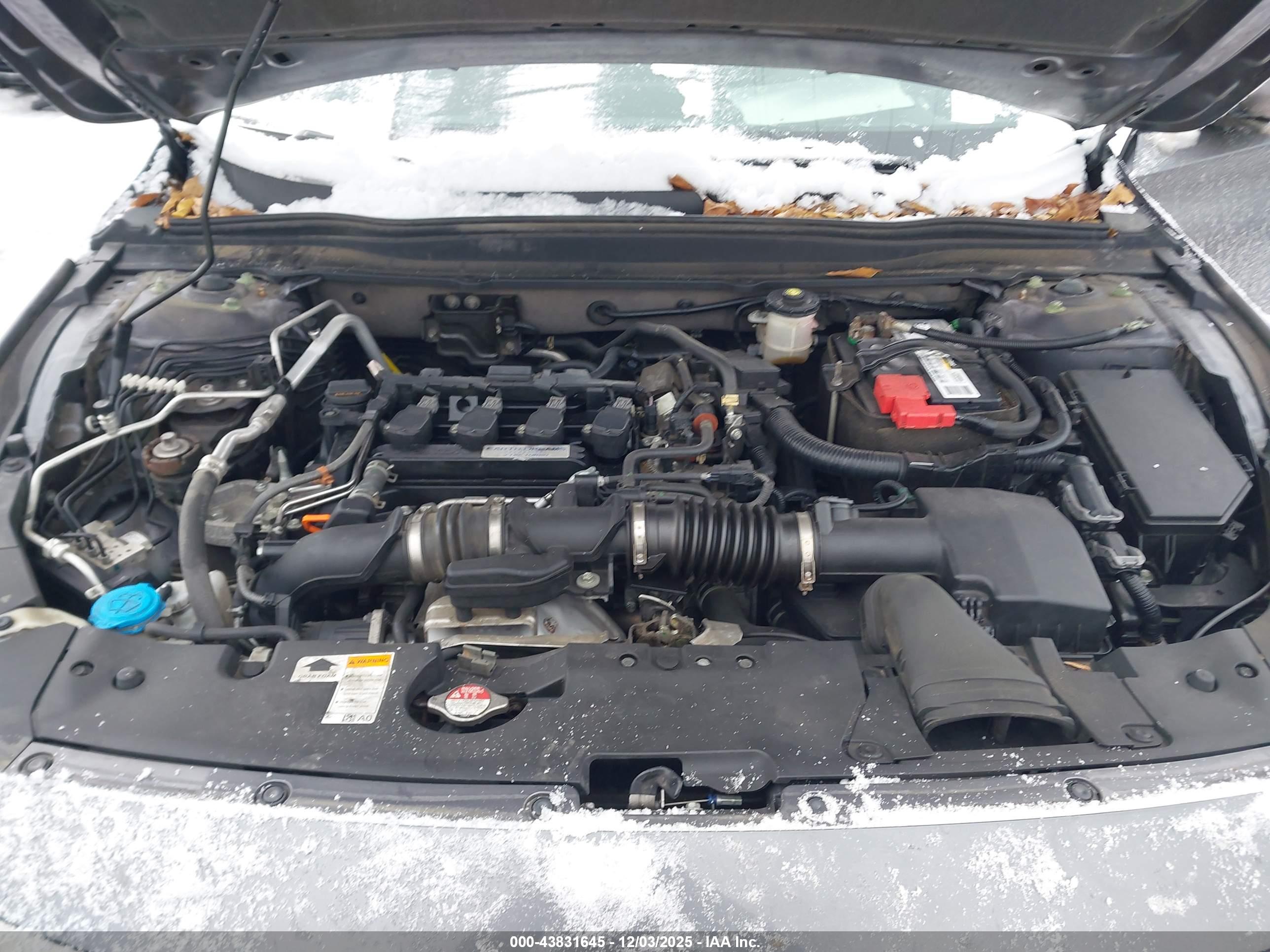 HONDA ACCORD image 10