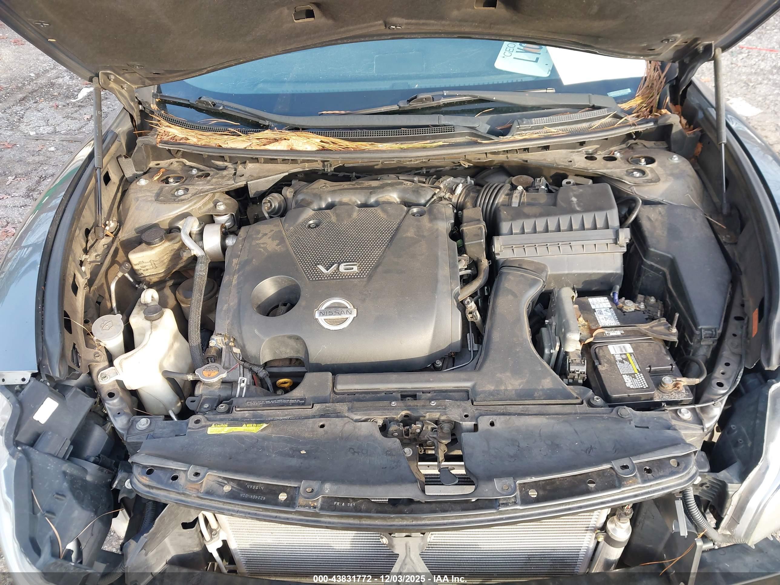 NISSAN MAXIMA image 10