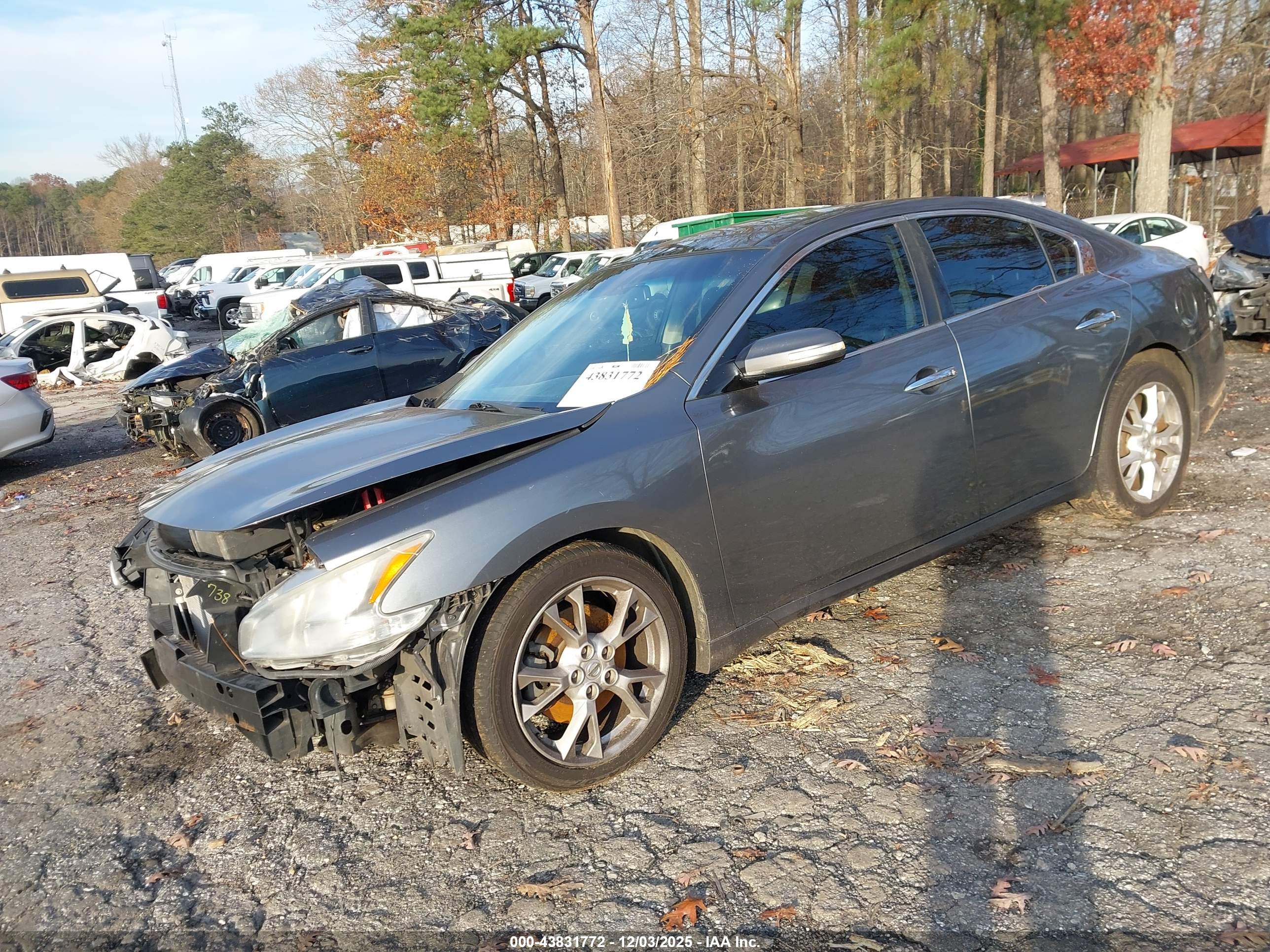 NISSAN MAXIMA image 2