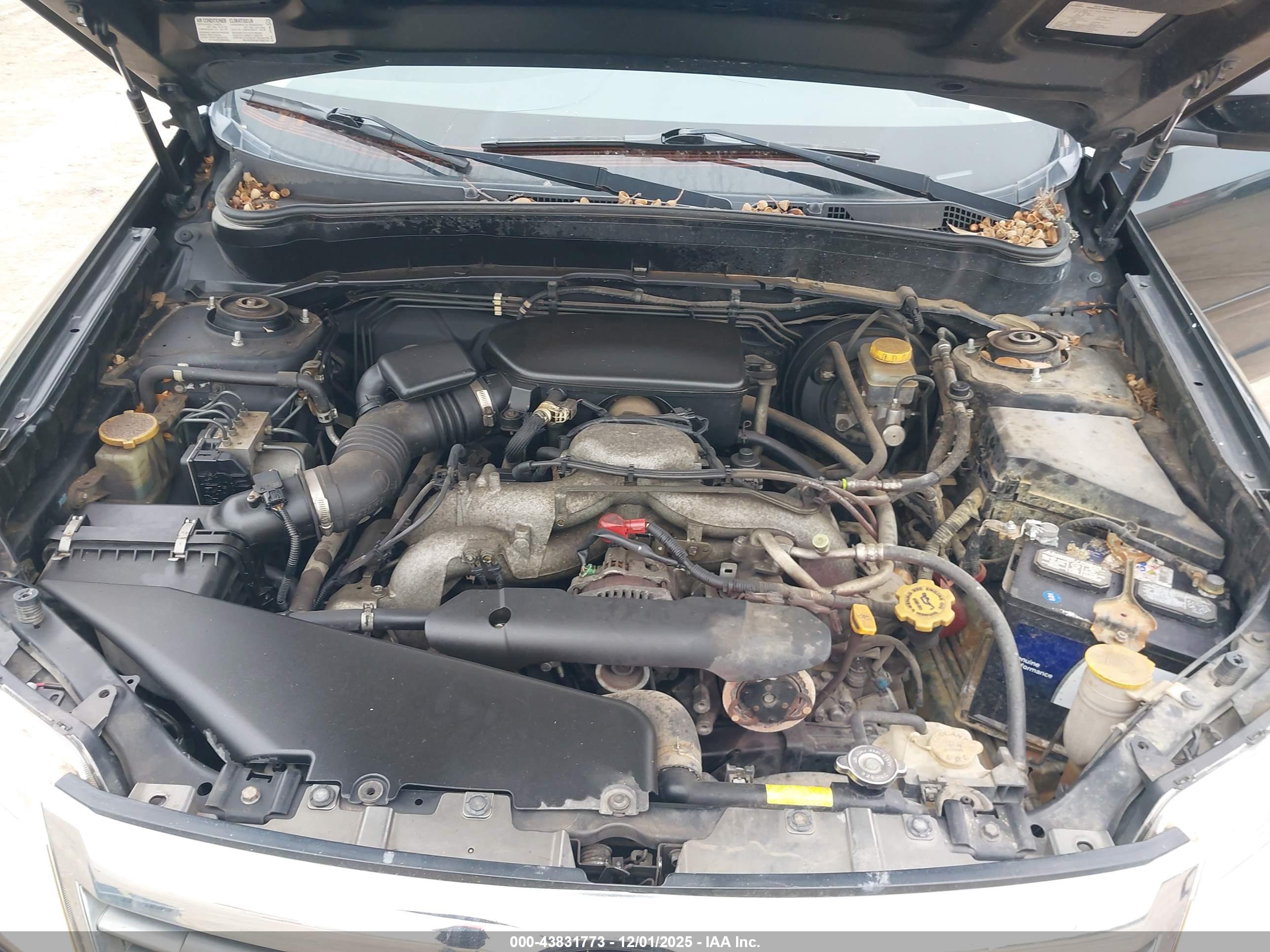 SUBARU FORESTER image 10