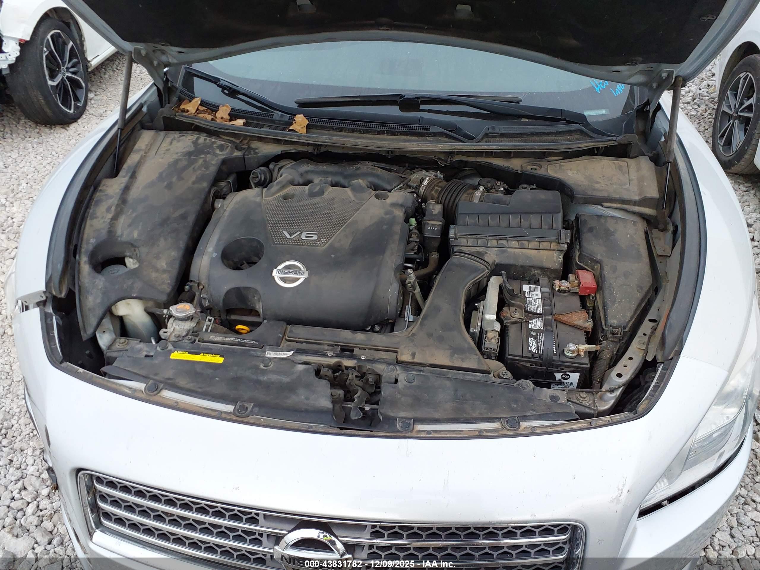 NISSAN MAXIMA image 10