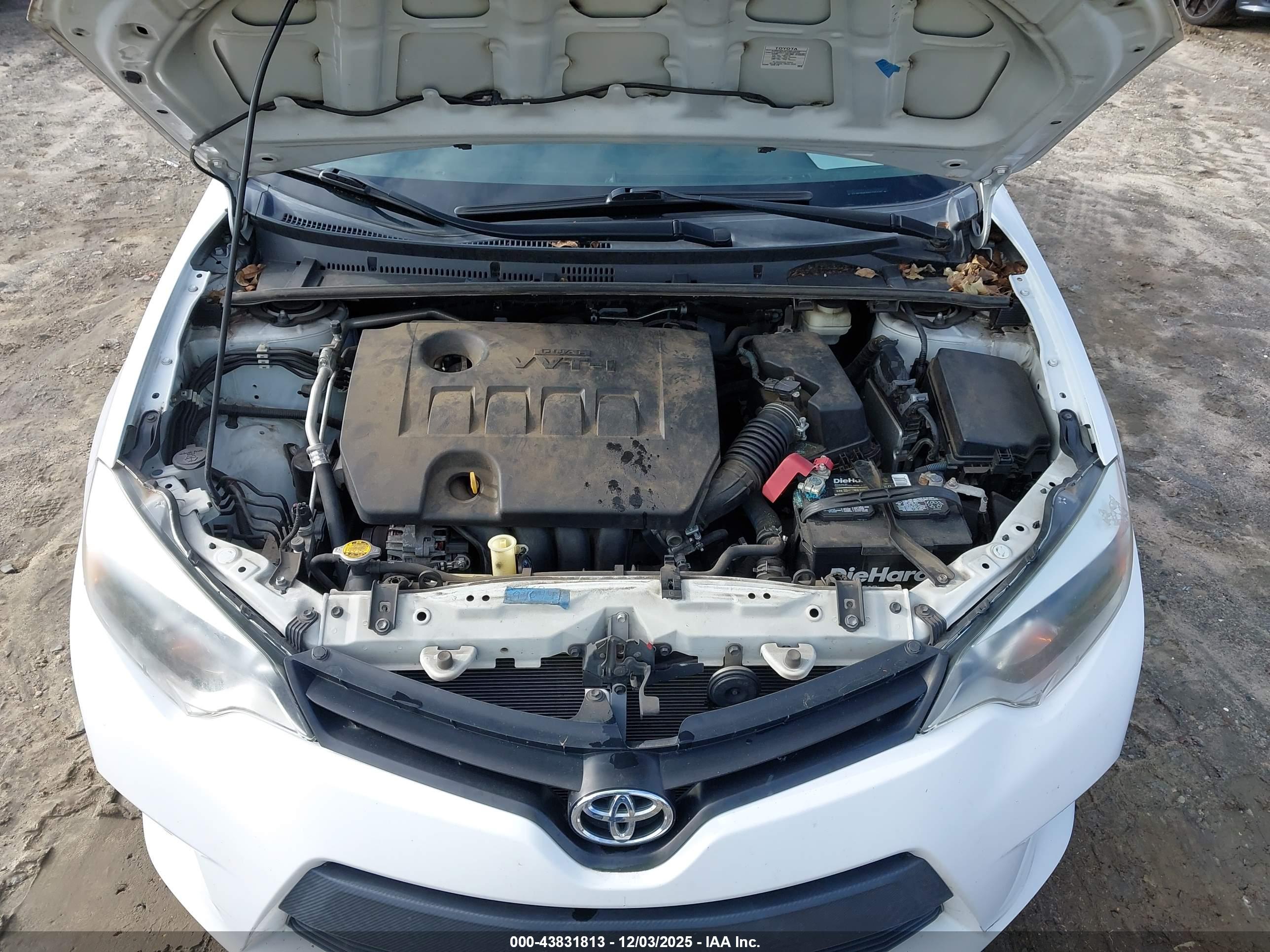 TOYOTA COROLLA image 10