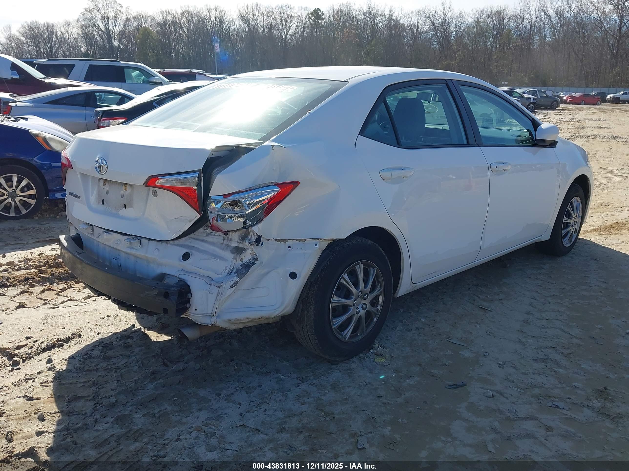 TOYOTA COROLLA image 4