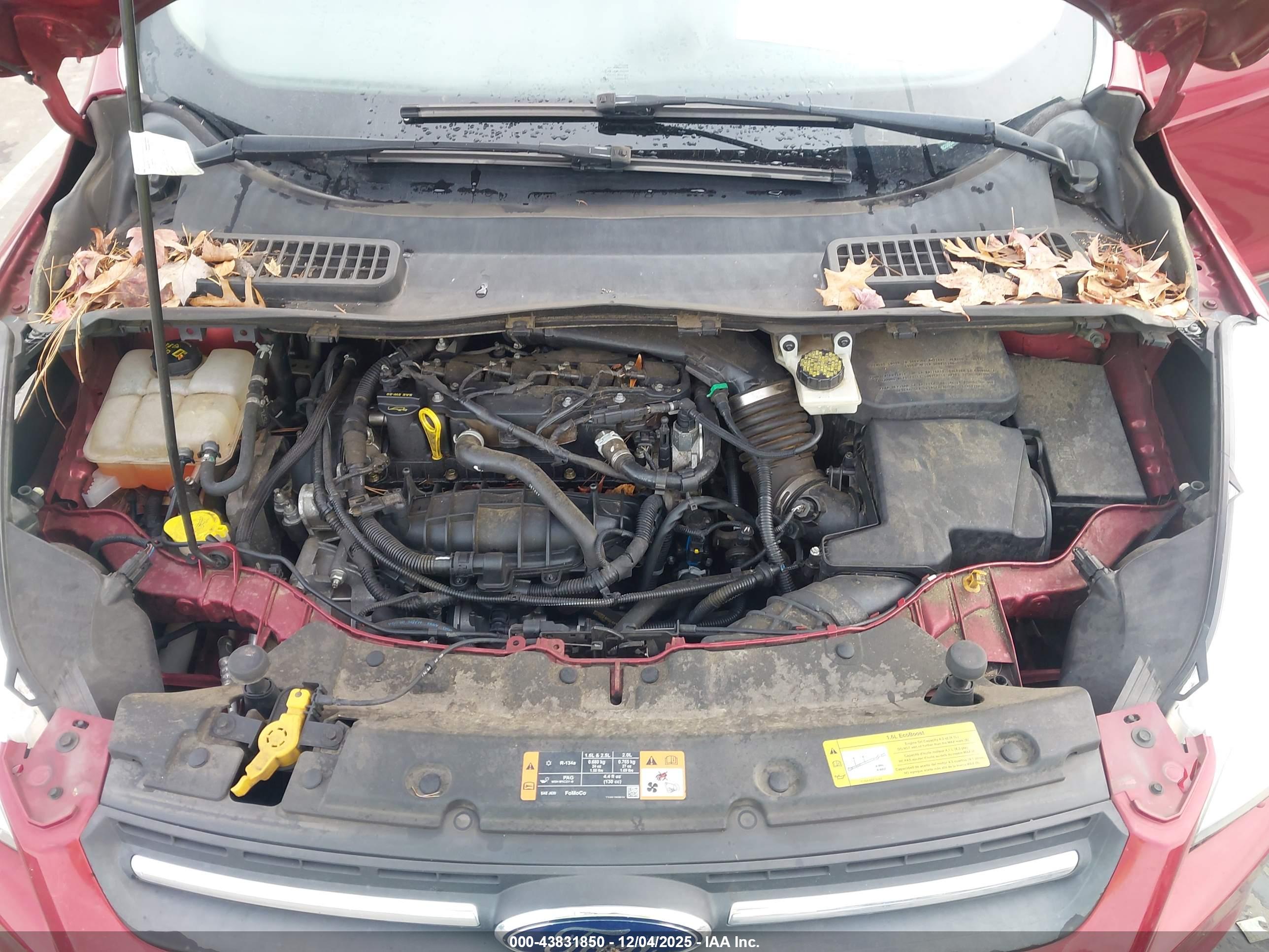 FORD ESCAPE image 10