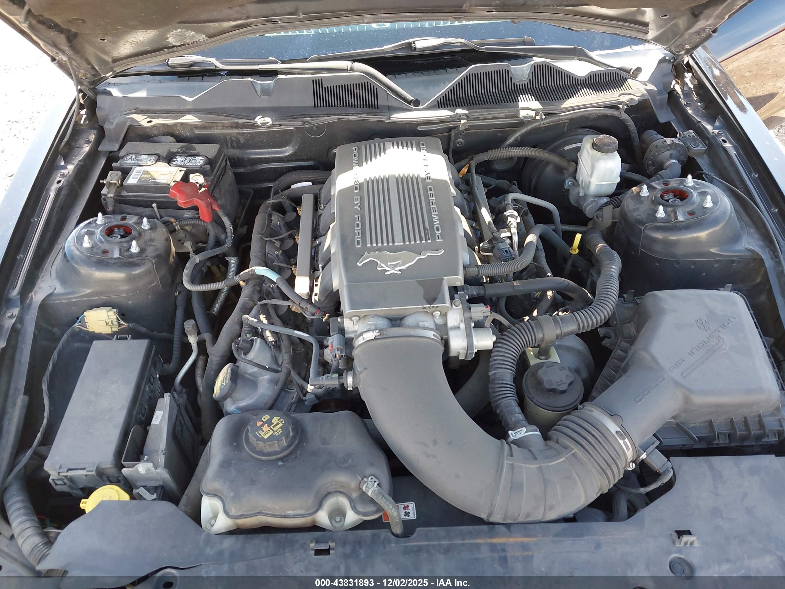 FORD MUSTANG image 10