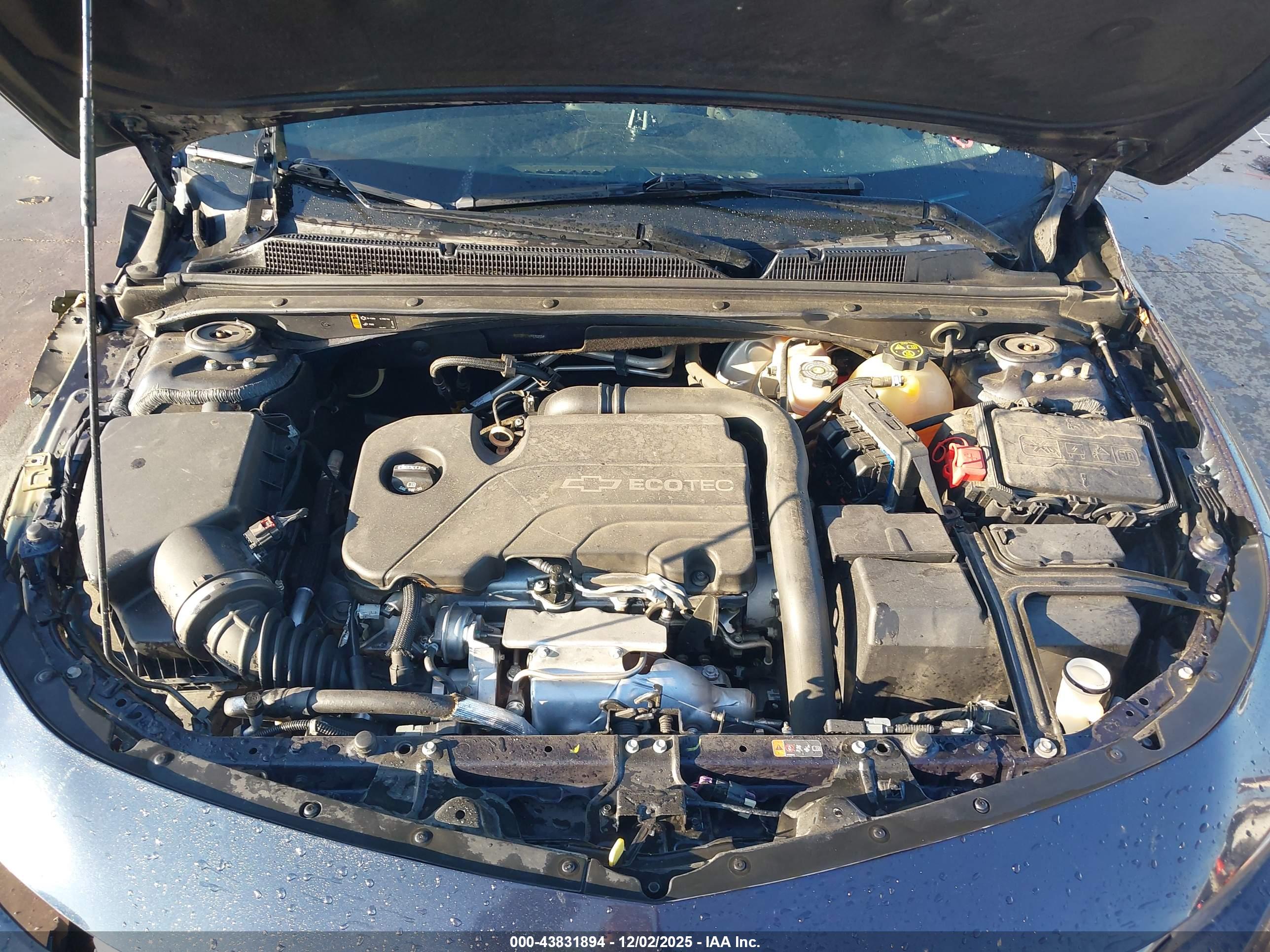CHEVROLET MALIBU image 10