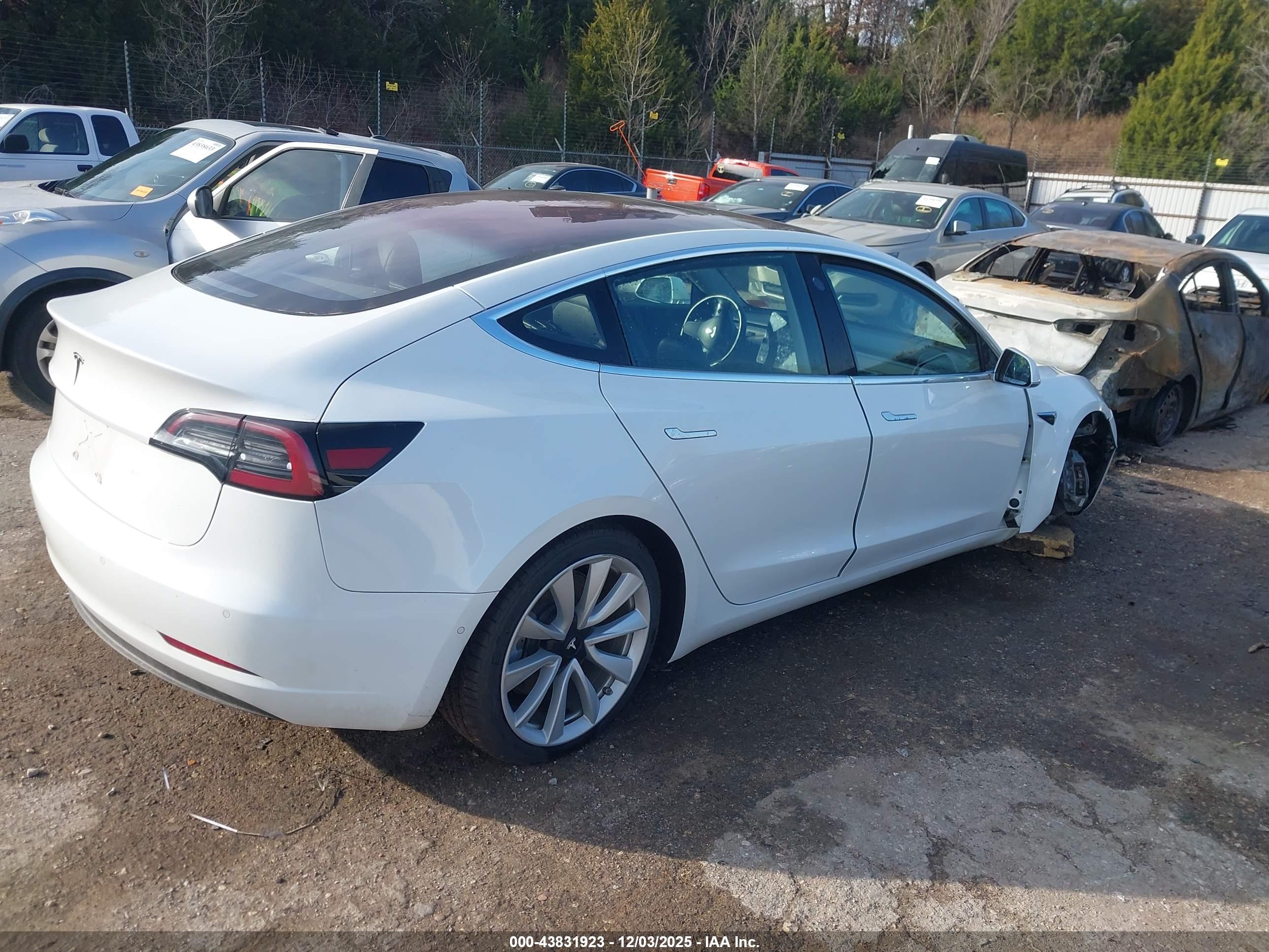 TESLA MODEL image 4