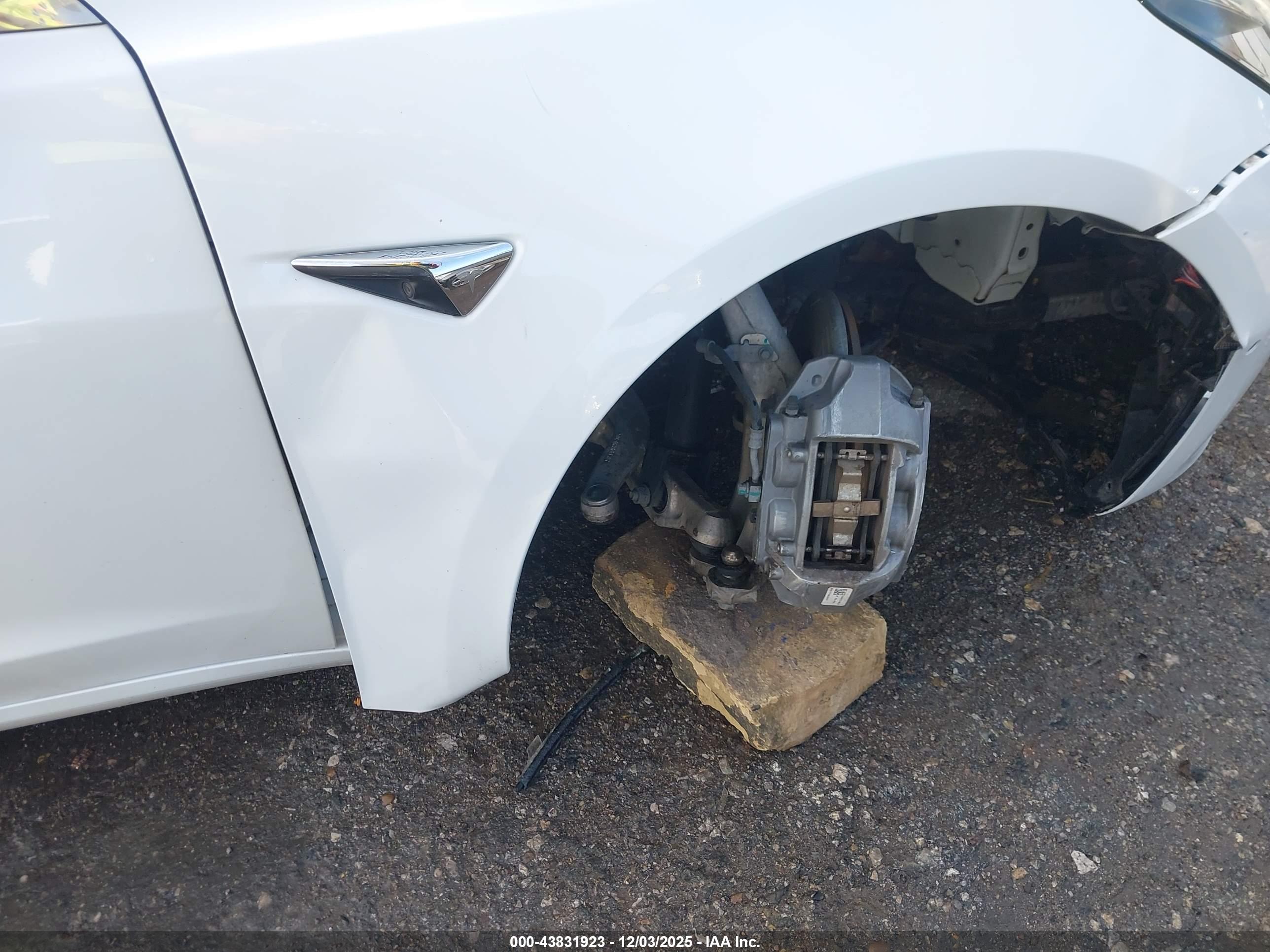 TESLA MODEL image 6