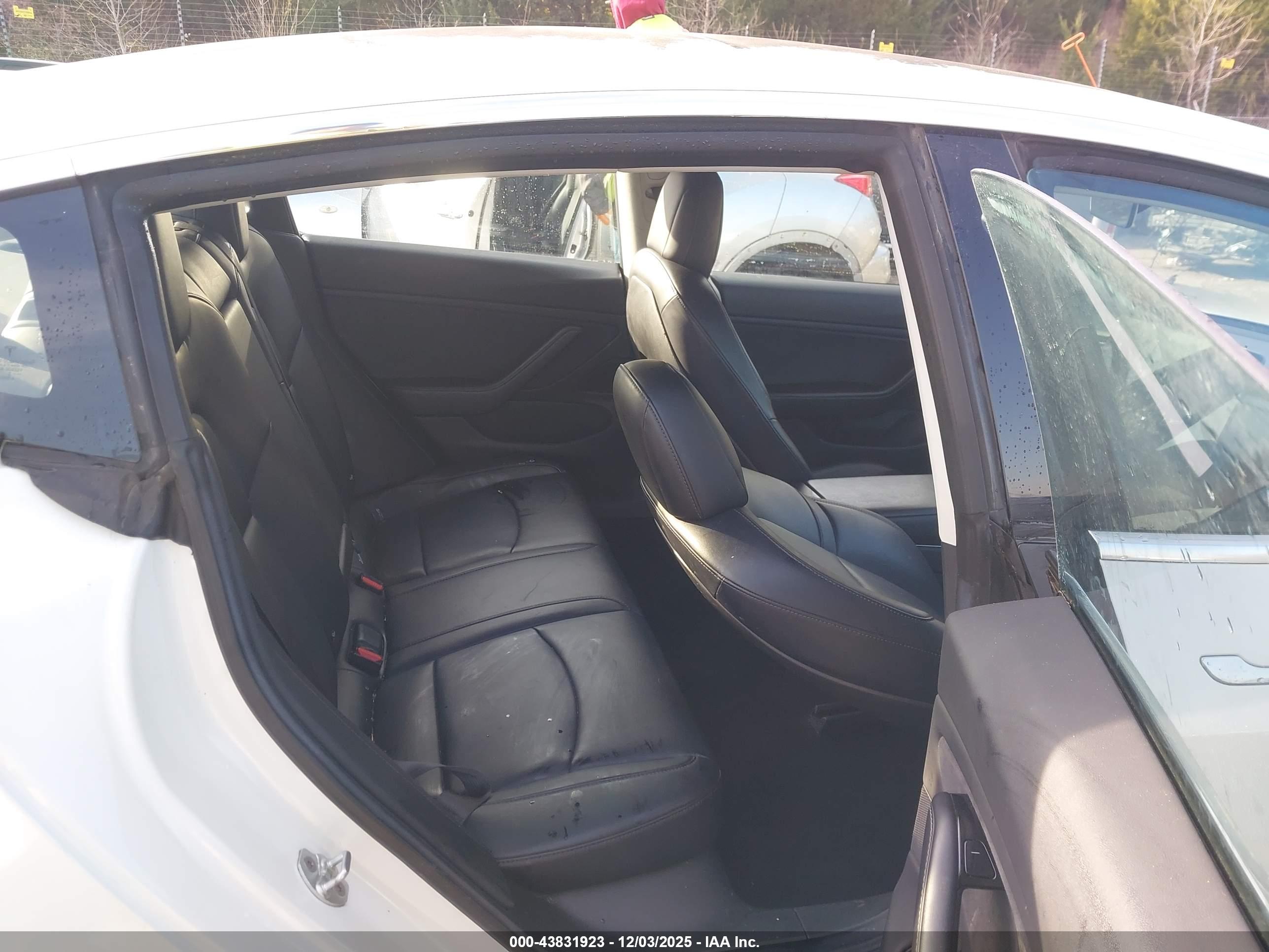 TESLA MODEL image 8