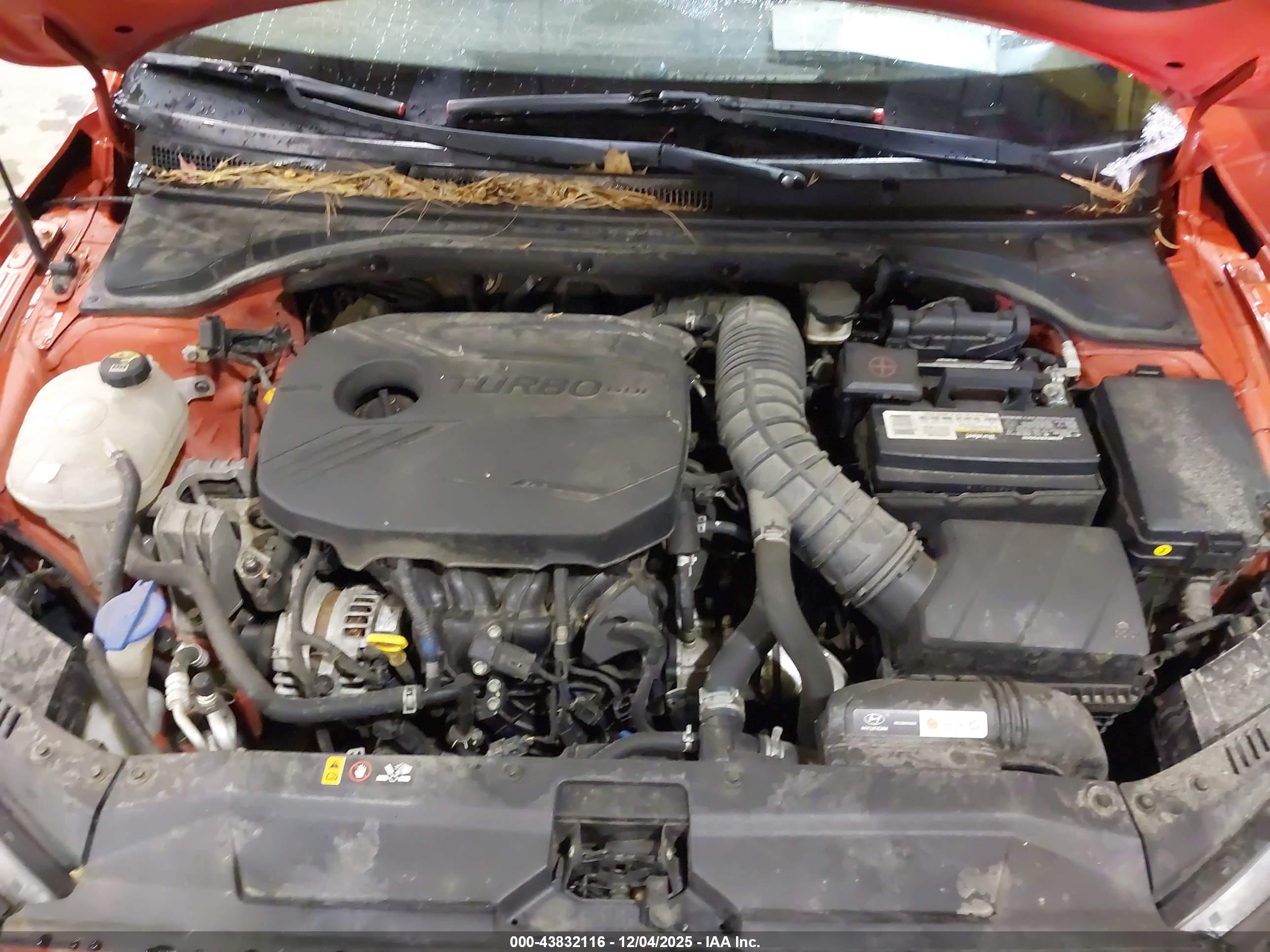 HYUNDAI VELOSTER image 10