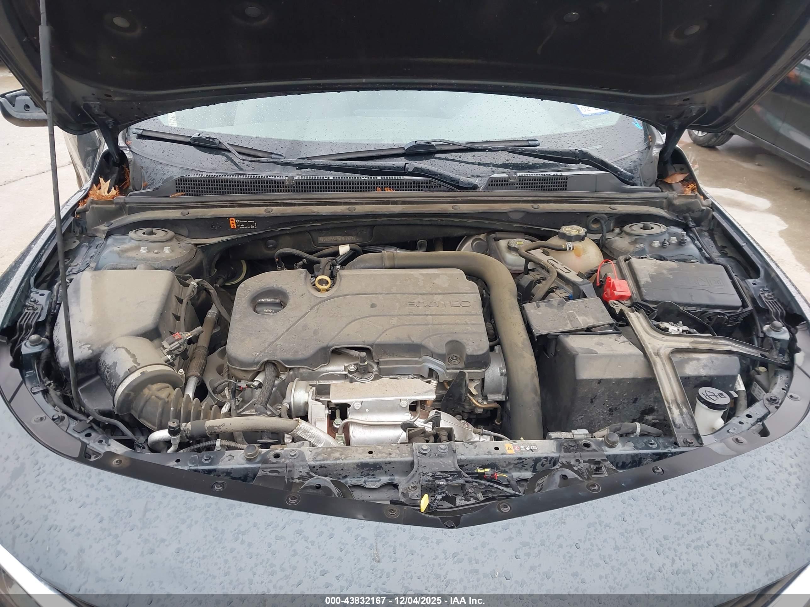 CHEVROLET MALIBU image 10