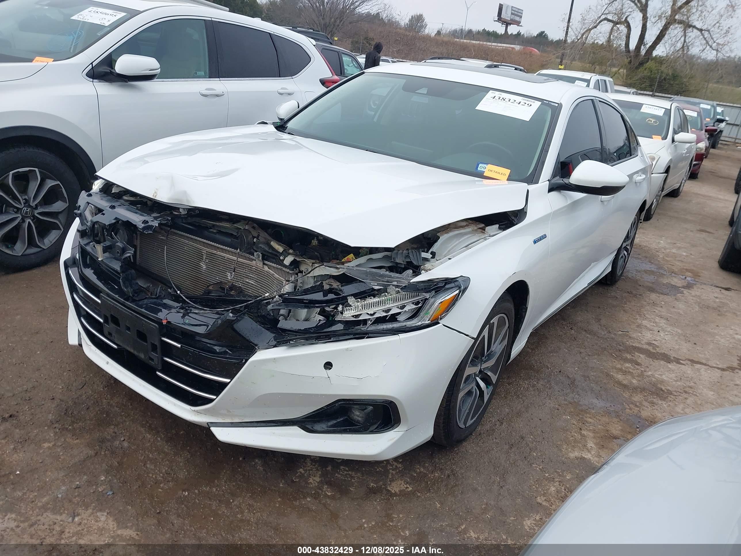 HONDA ACCORD image 2
