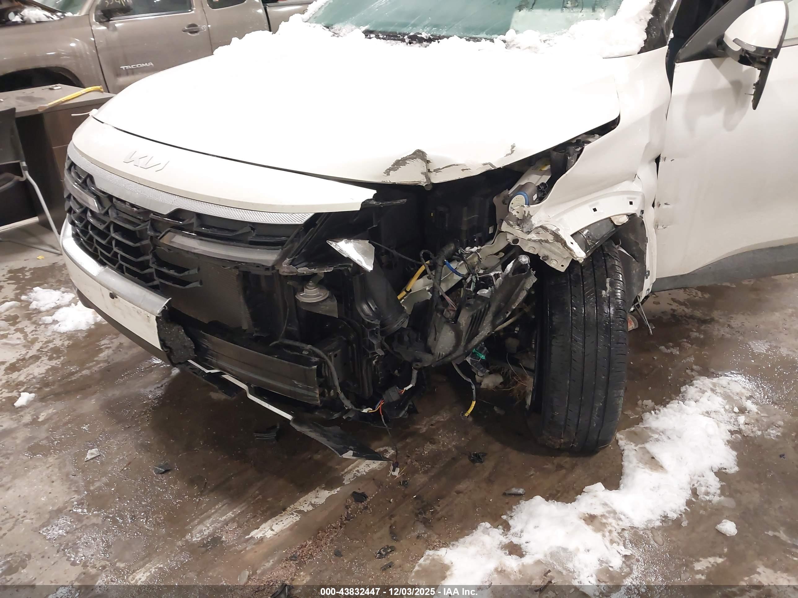 KIA SELTOS image 6