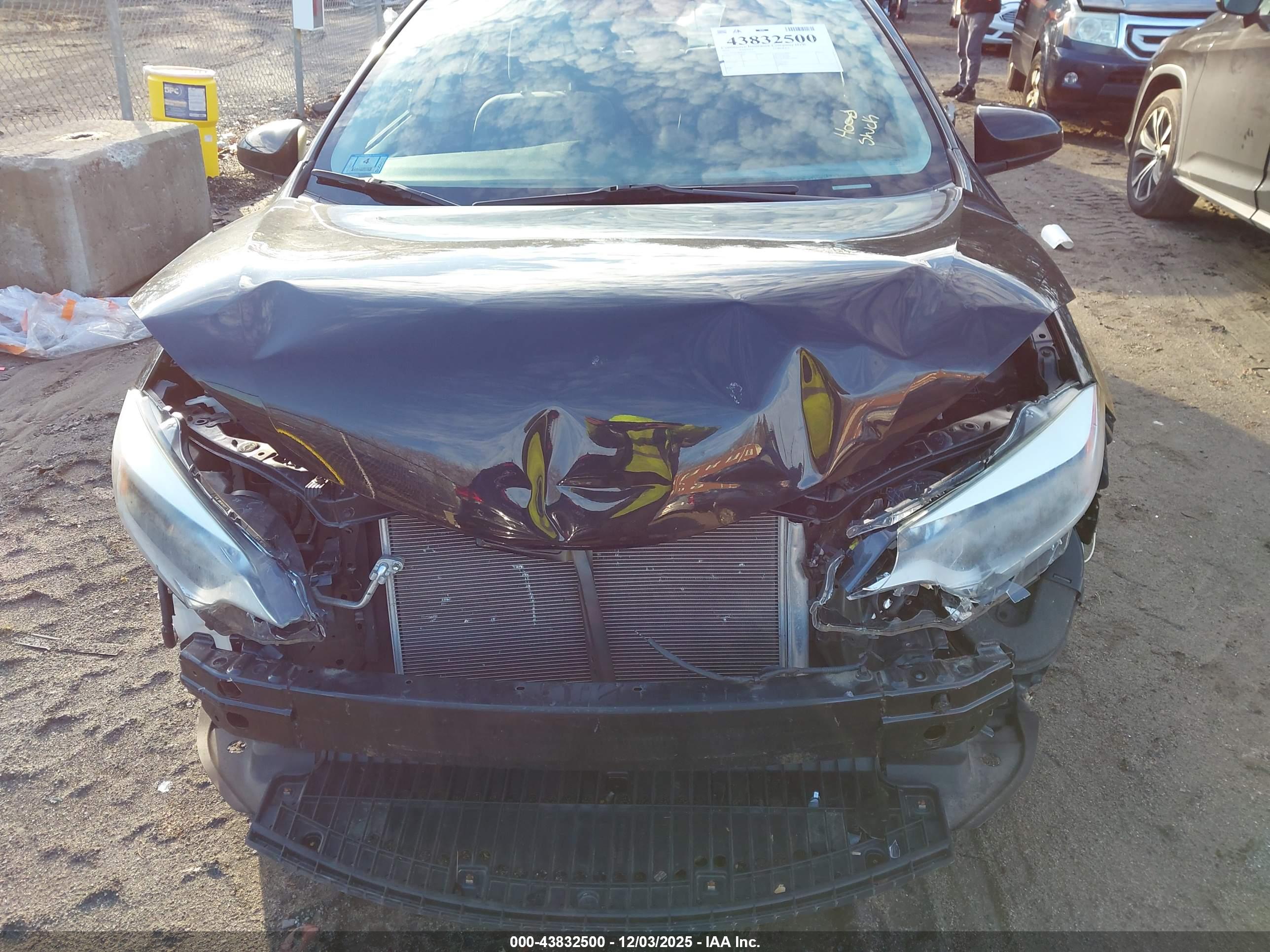 TOYOTA COROLLA image 6