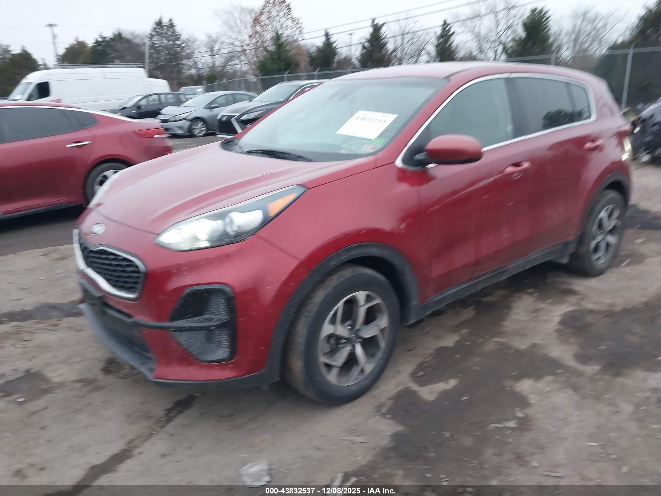 KIA SPORTAGE image 2