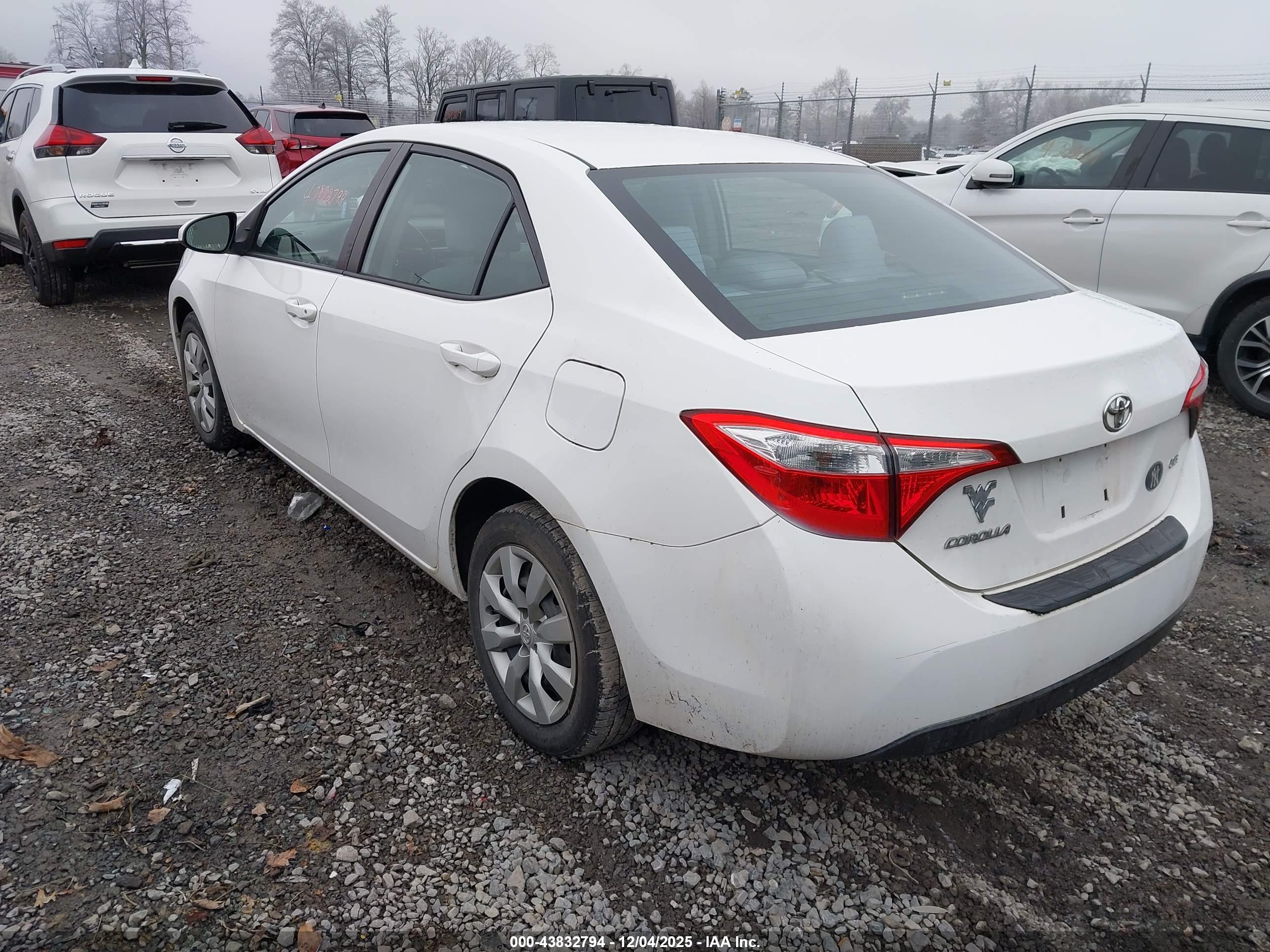 TOYOTA COROLLA image 3