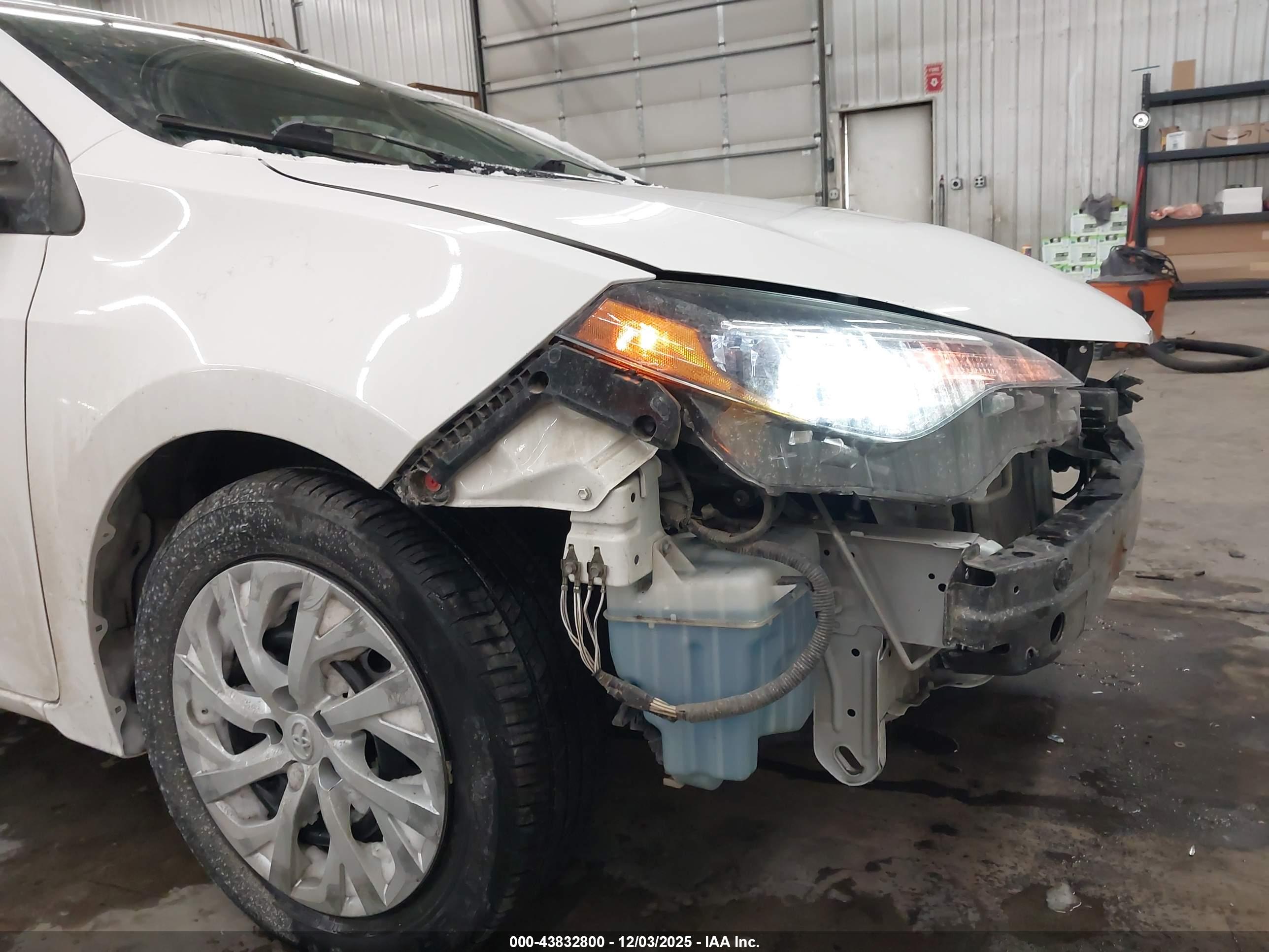 TOYOTA COROLLA image 6