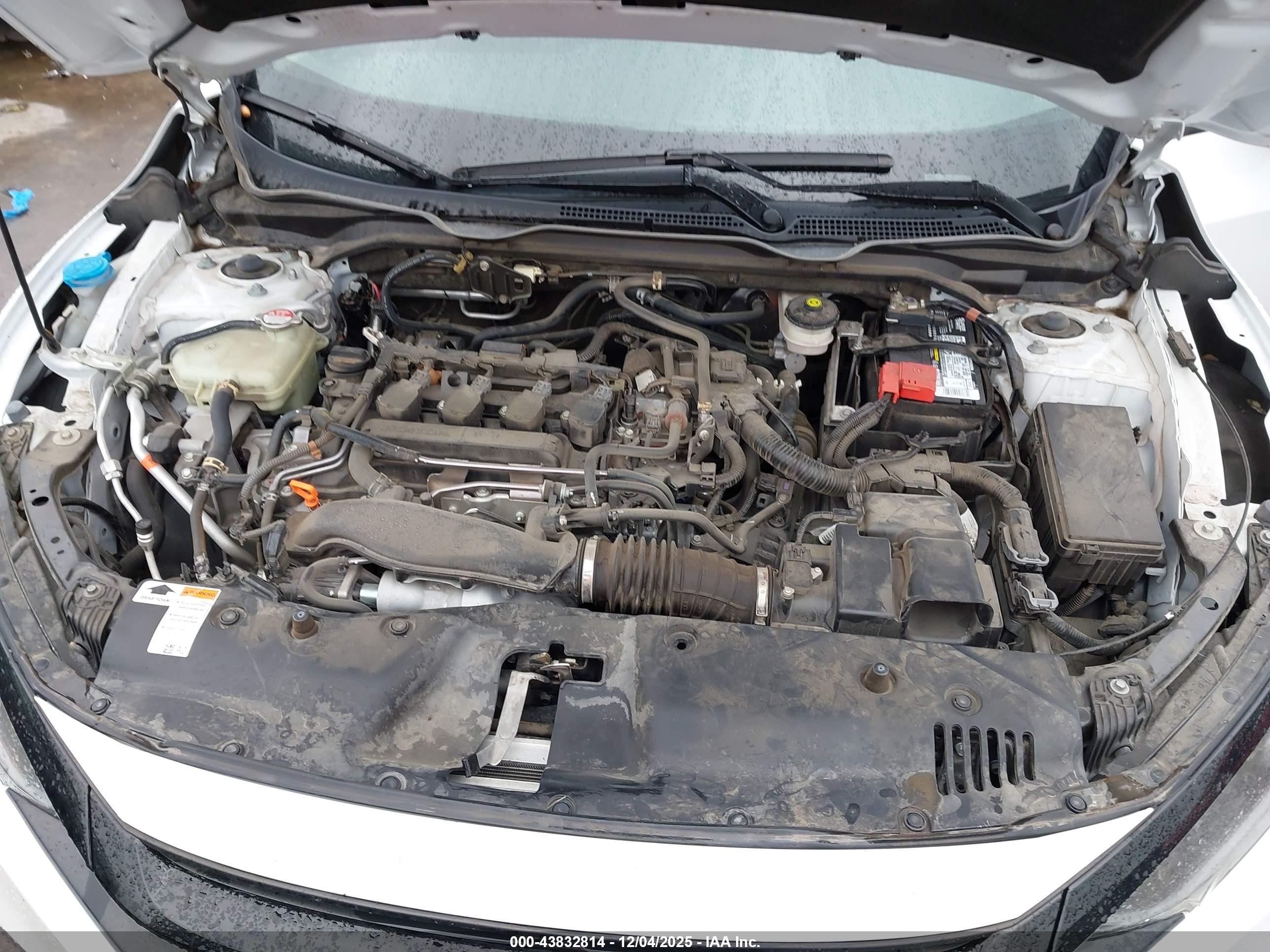 HONDA CIVIC image 10