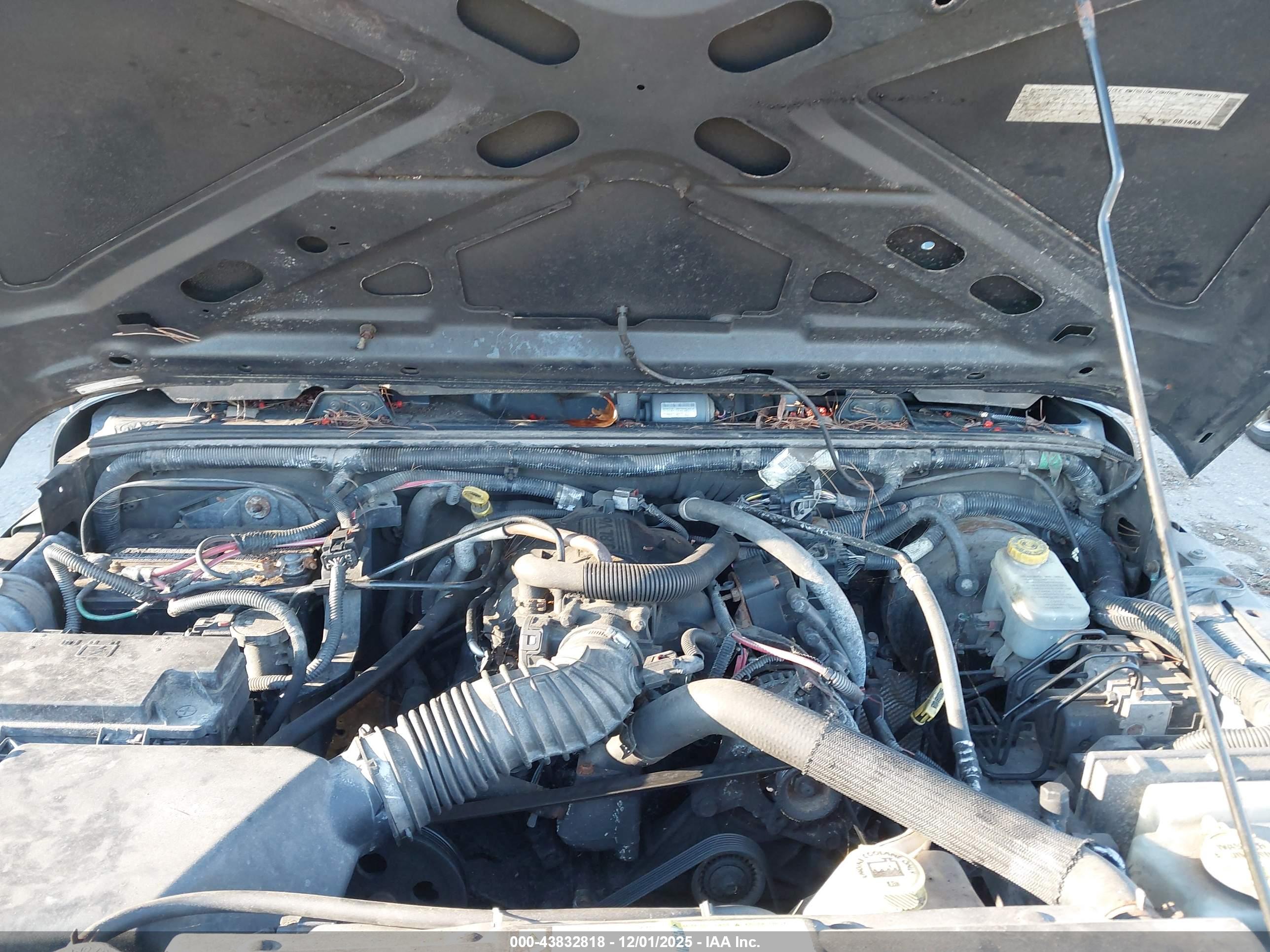 JEEP WRANGLER image 10