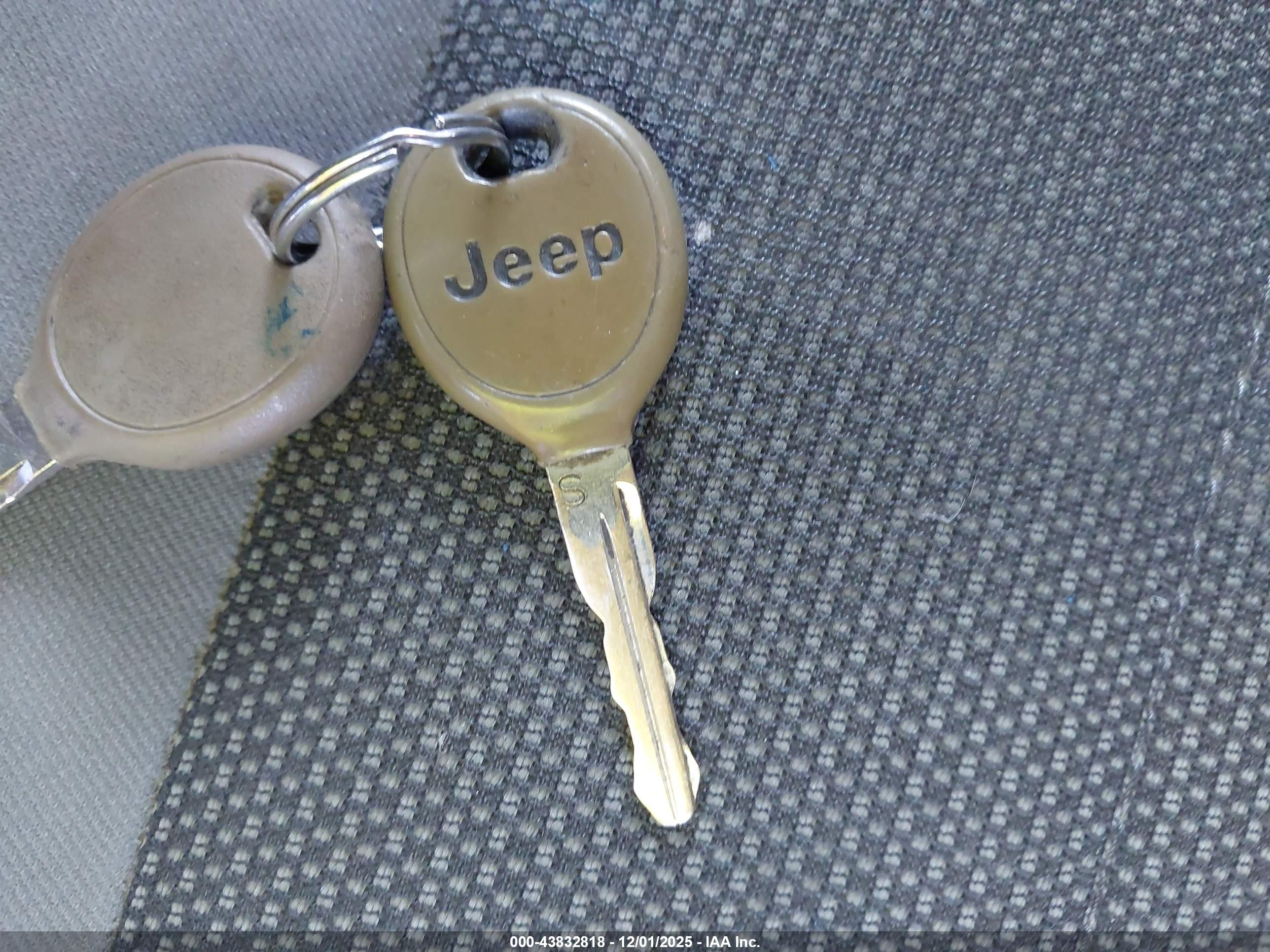 JEEP WRANGLER image 11