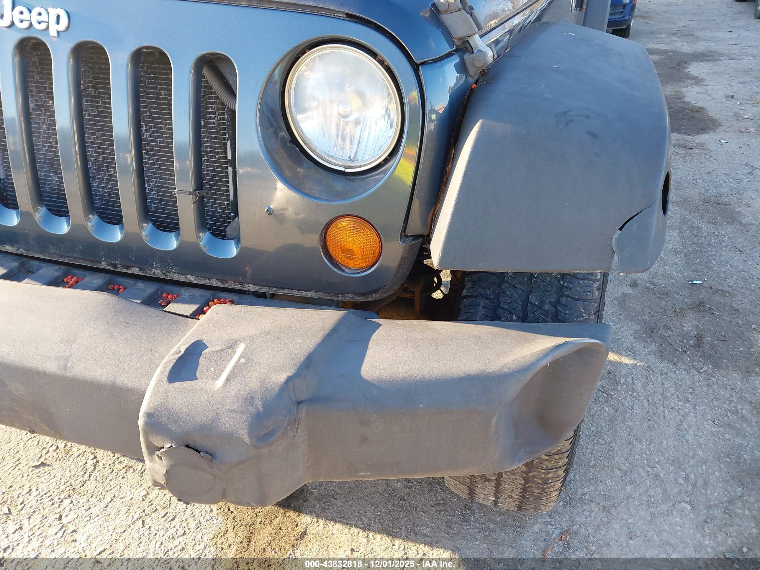 JEEP WRANGLER image 6