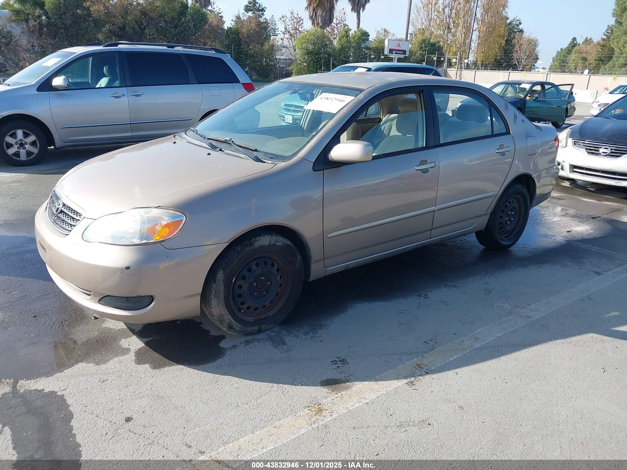 TOYOTA COROLLA image 2
