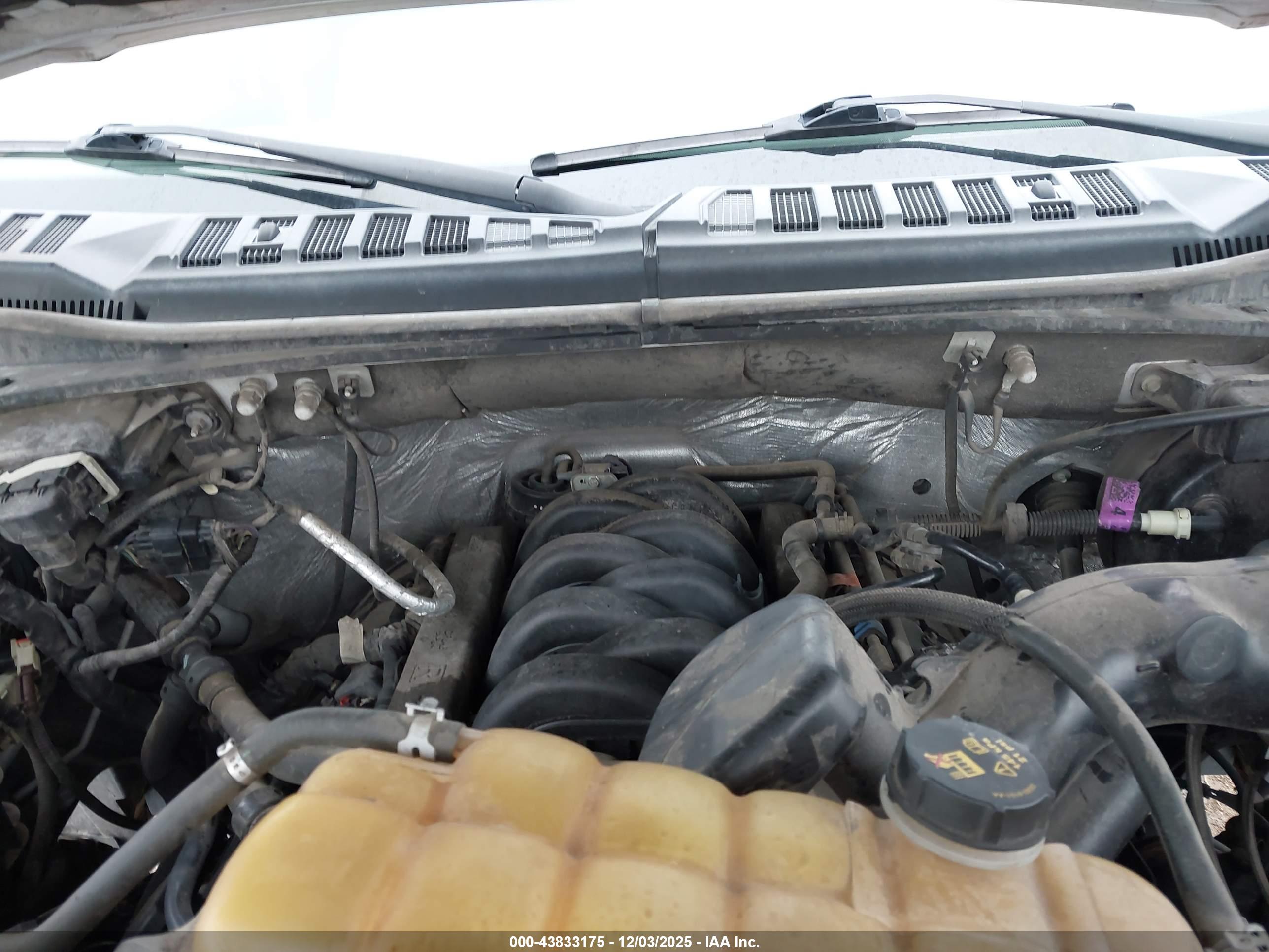 FORD F-150 image 10